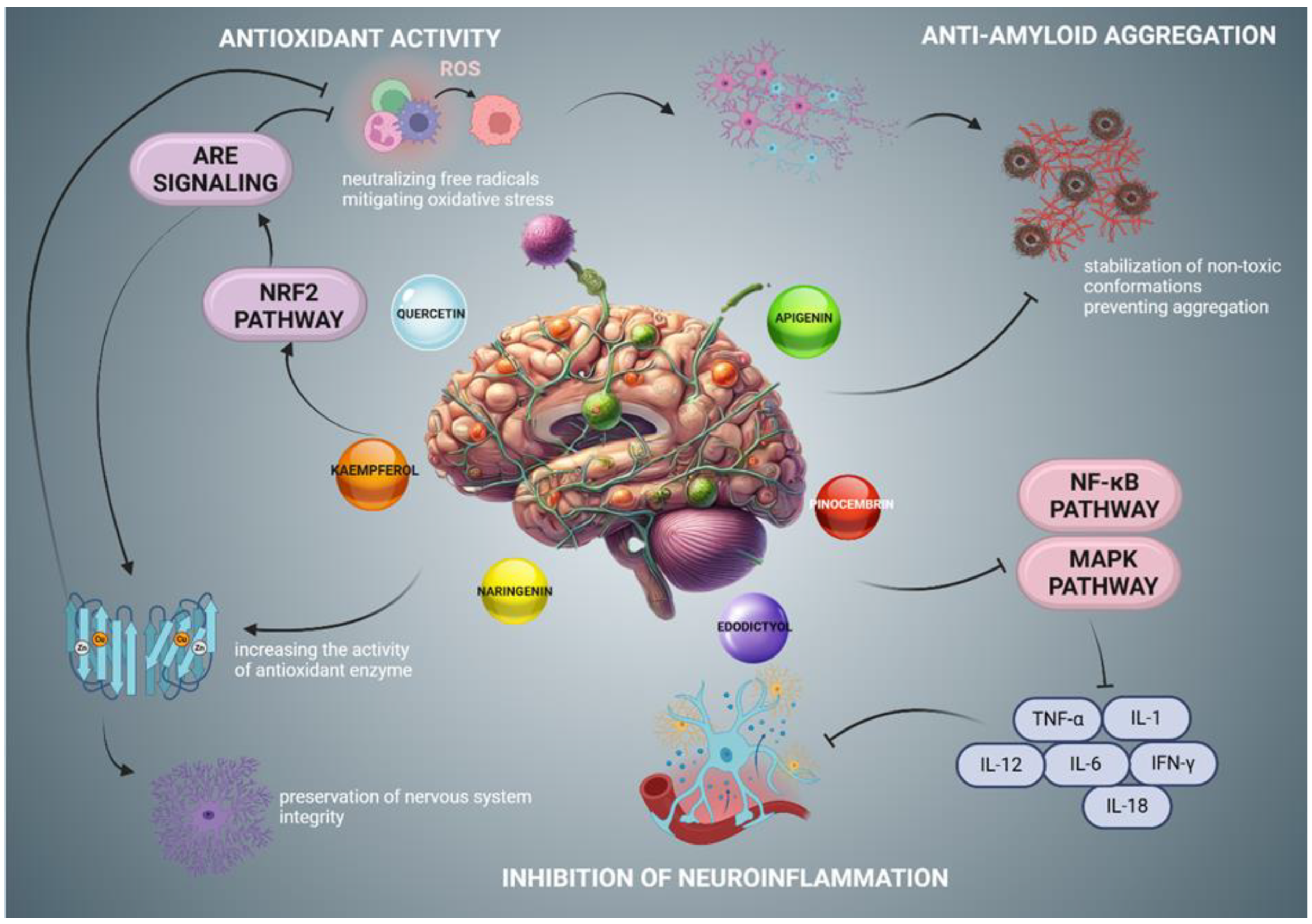 Nutrients 17 00078 g001