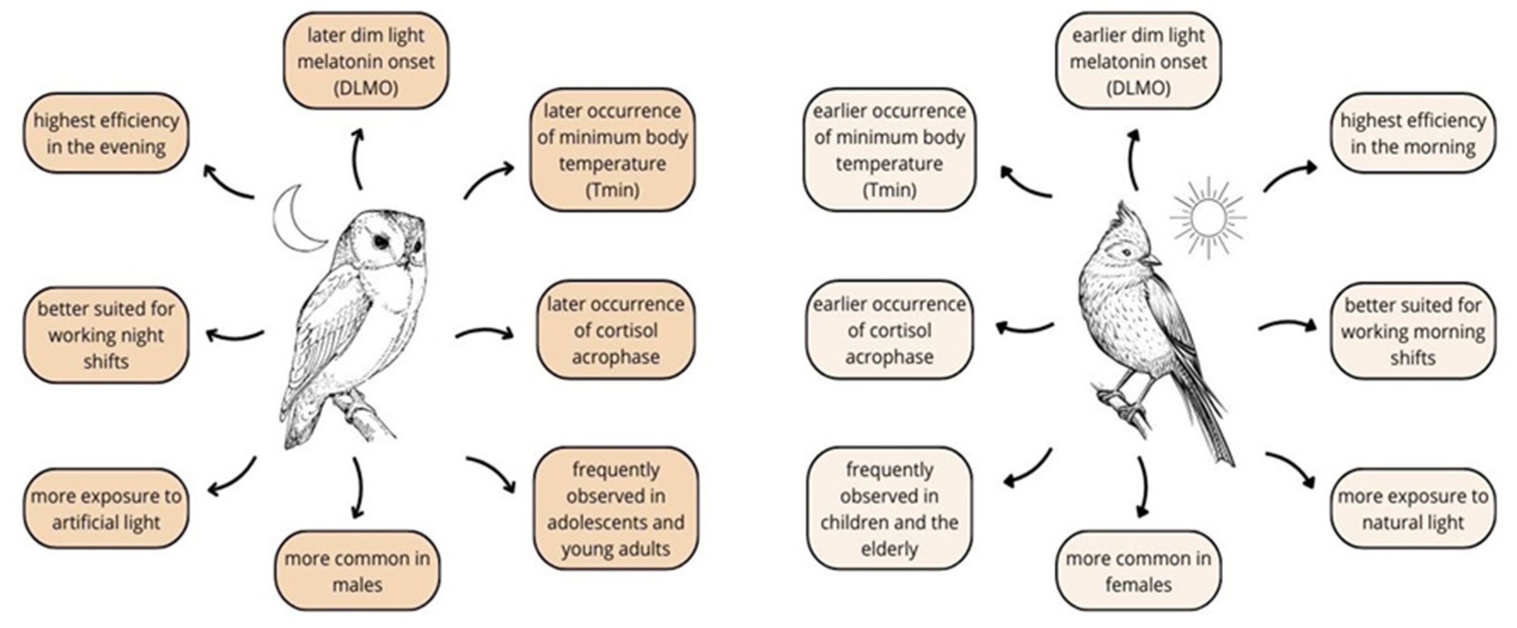 Nutrients 17 00080 g001 Nutrients 17 00080 g001