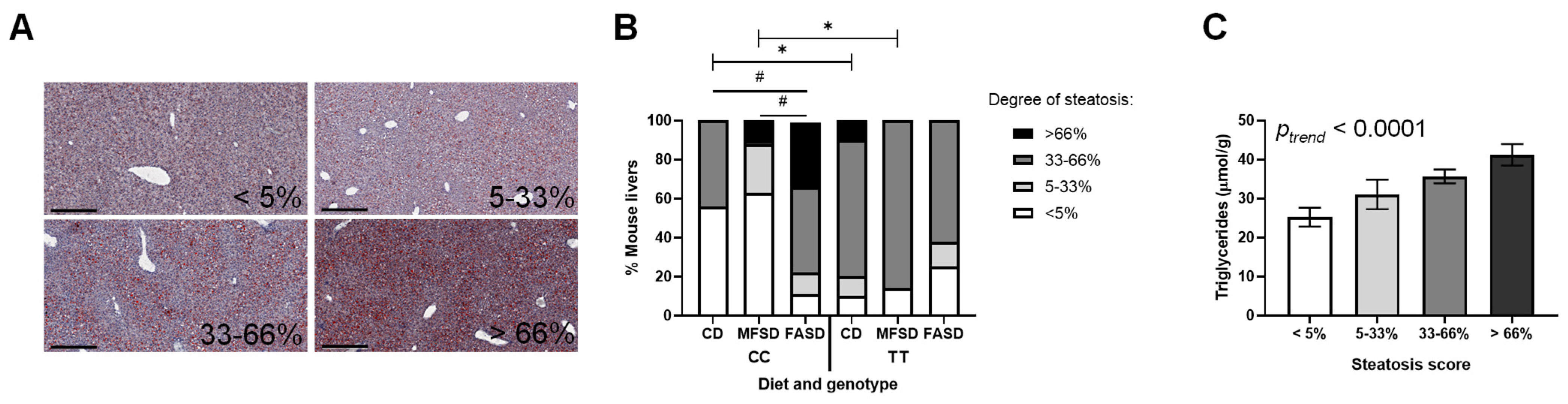 Nutrients 17 00082 g003
