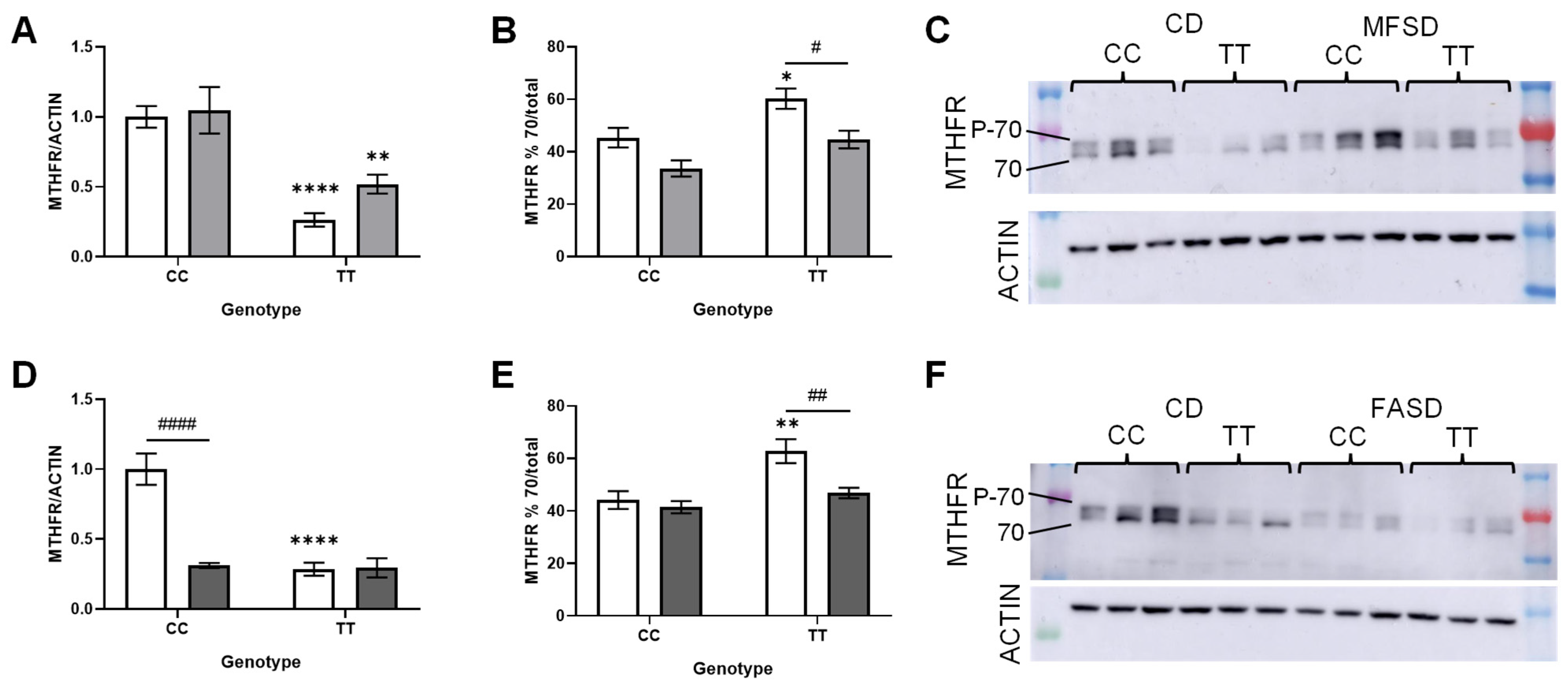 Nutrients 17 00082 g004
