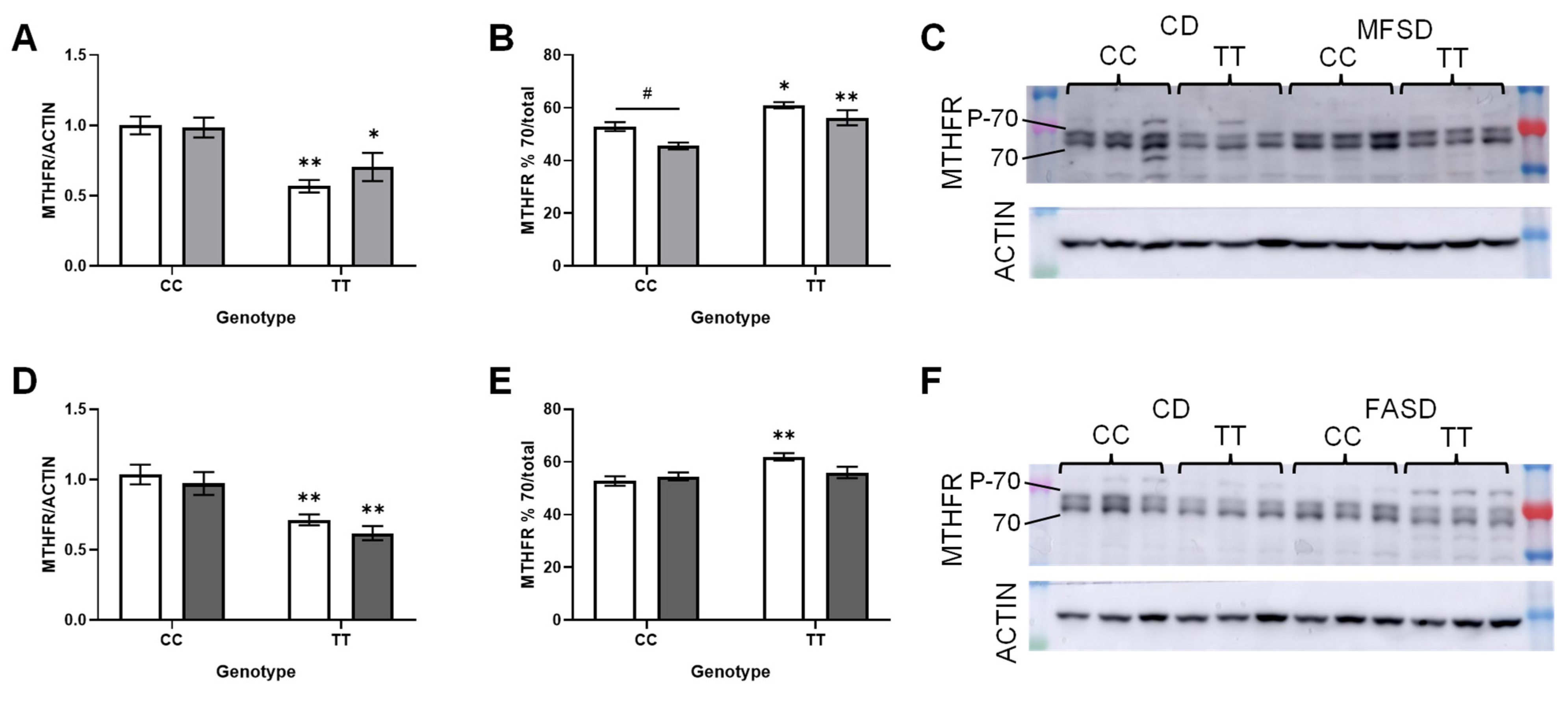 Nutrients 17 00082 g005