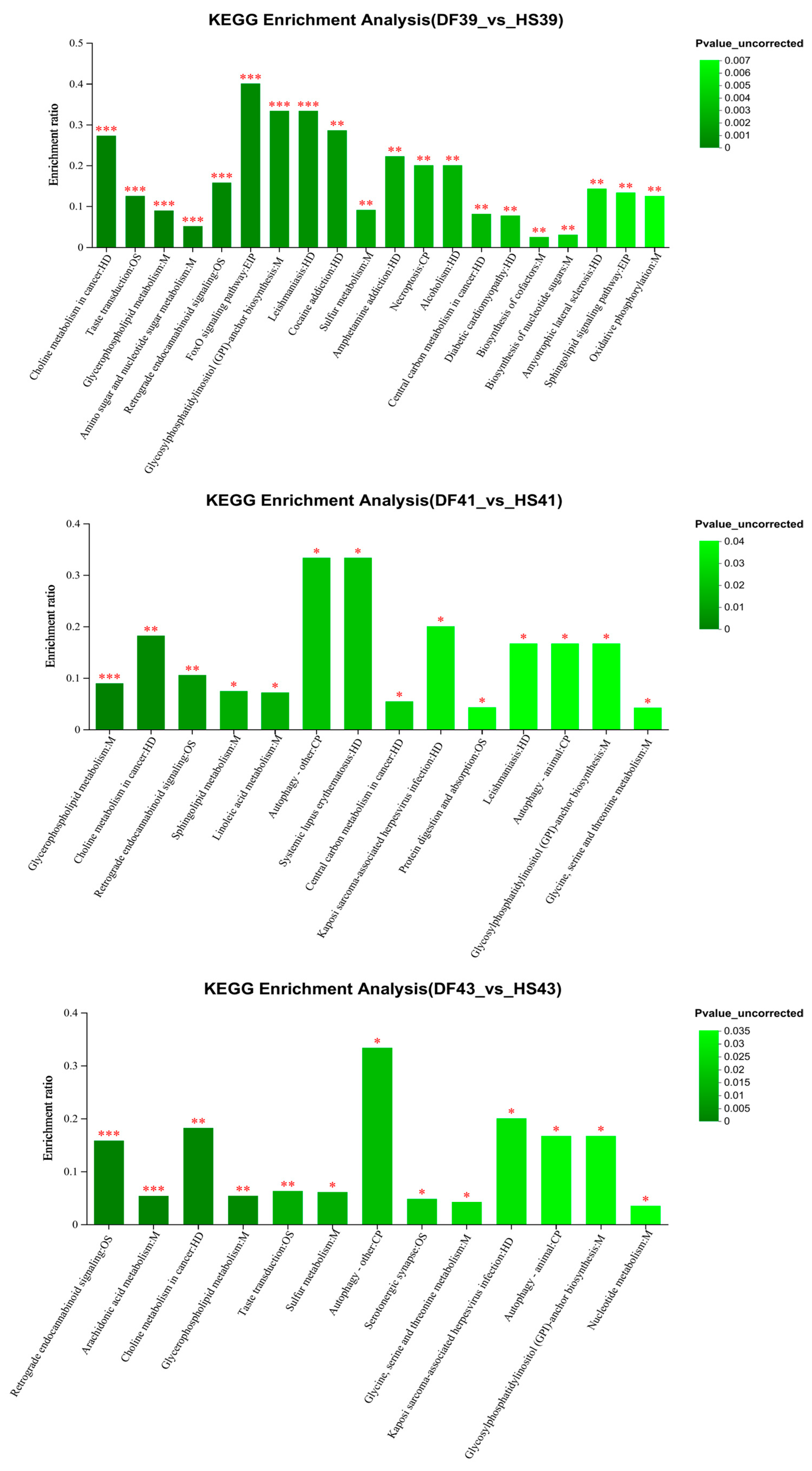 Nutrients 17 00088 g004