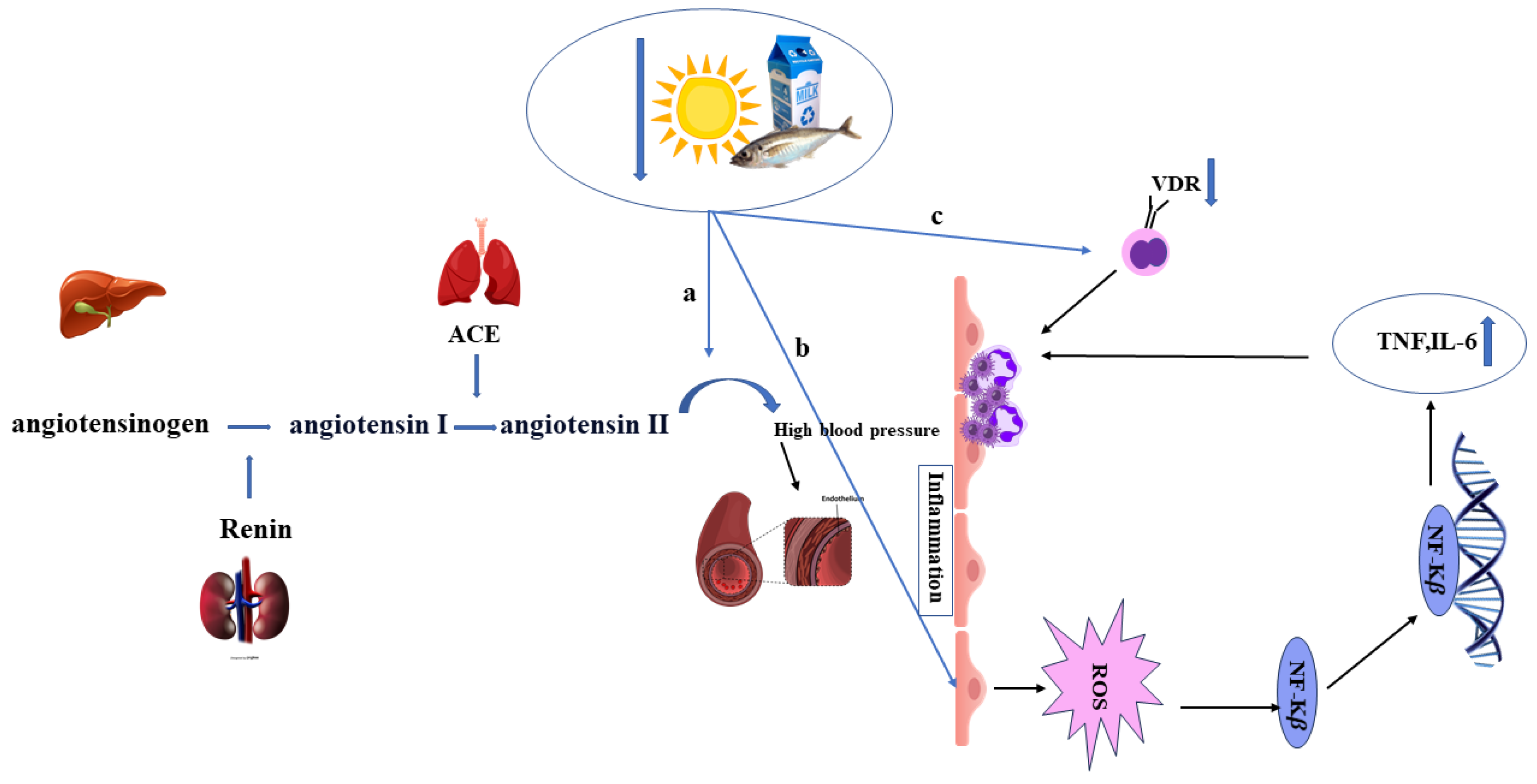 Nutrients 17 00090 g002 Nutrients 17 00090 g002
