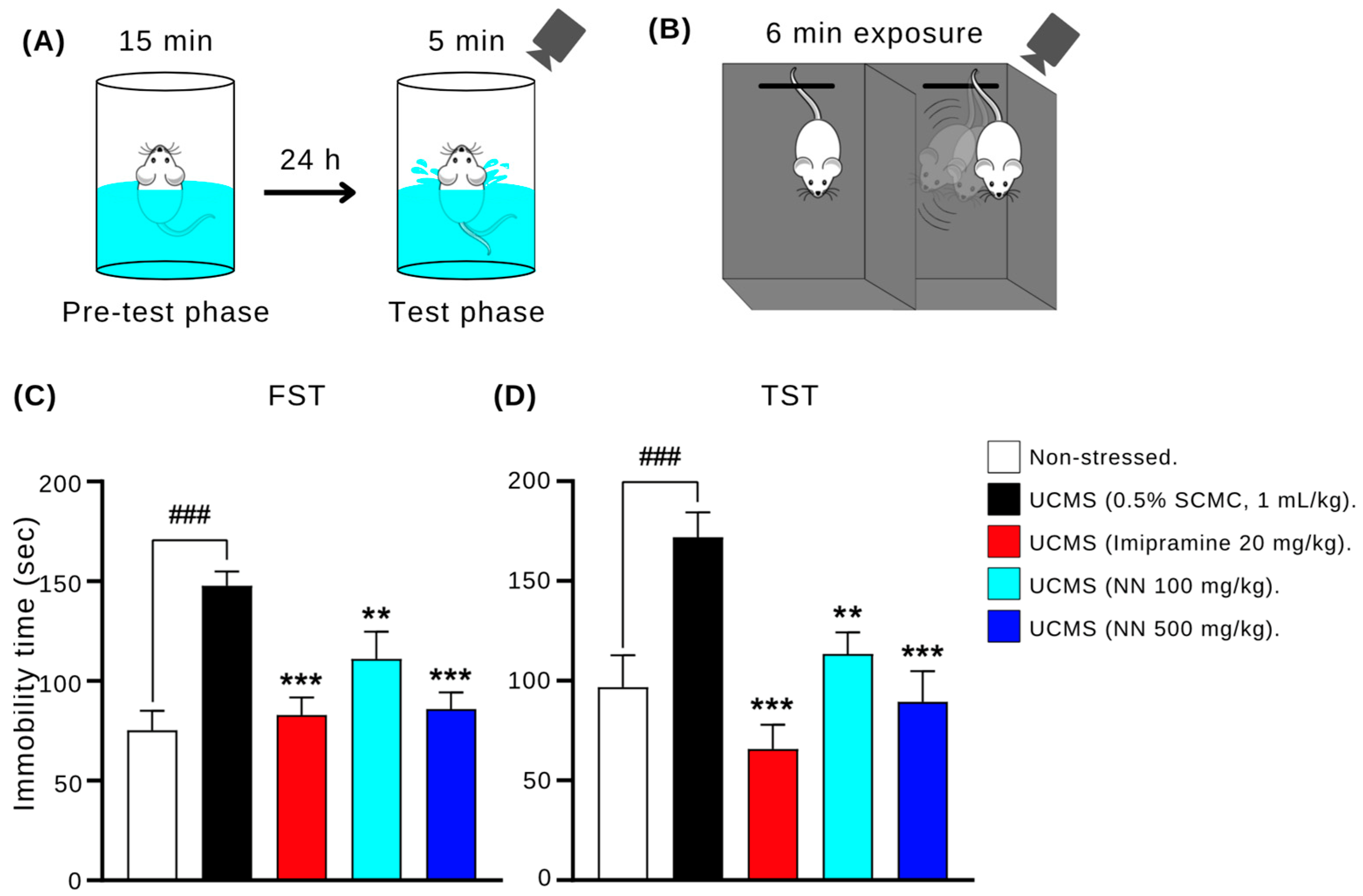 Nutrients 17 00094 g005