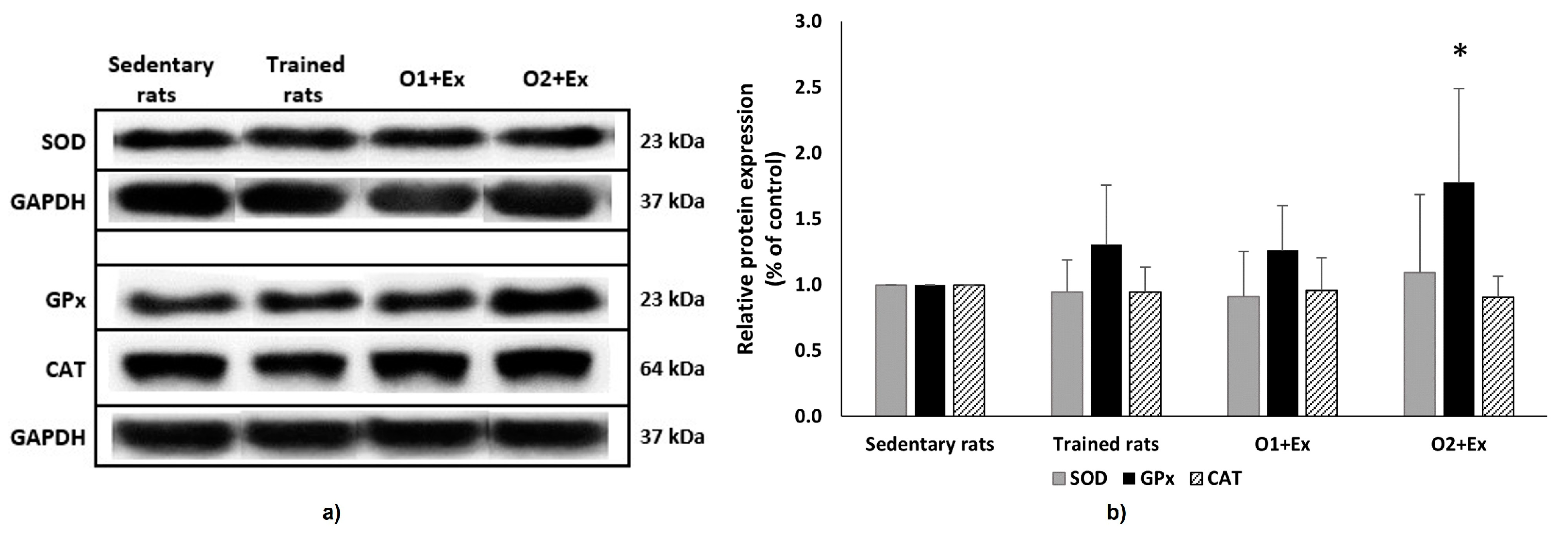 Nutrients 17 00096 g001