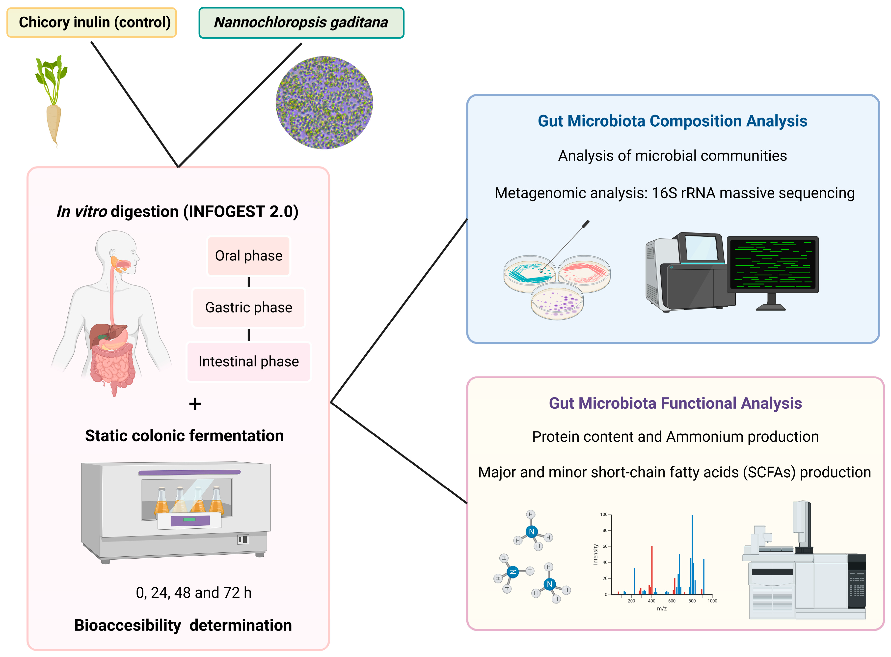 Nutrients 17 00099 g001