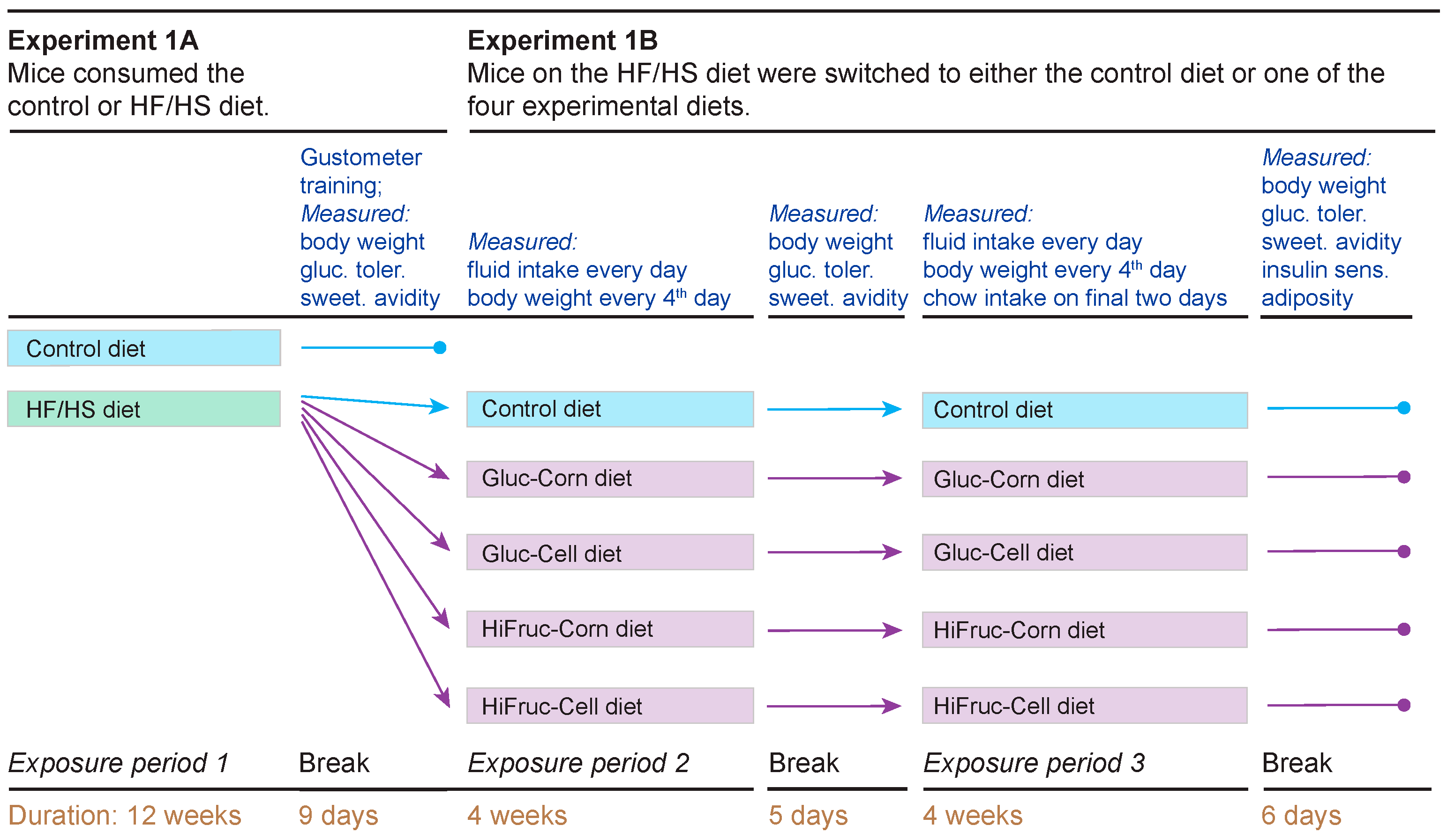 Nutrients 17 00100 g001 Nutrients 17 00100 g001
