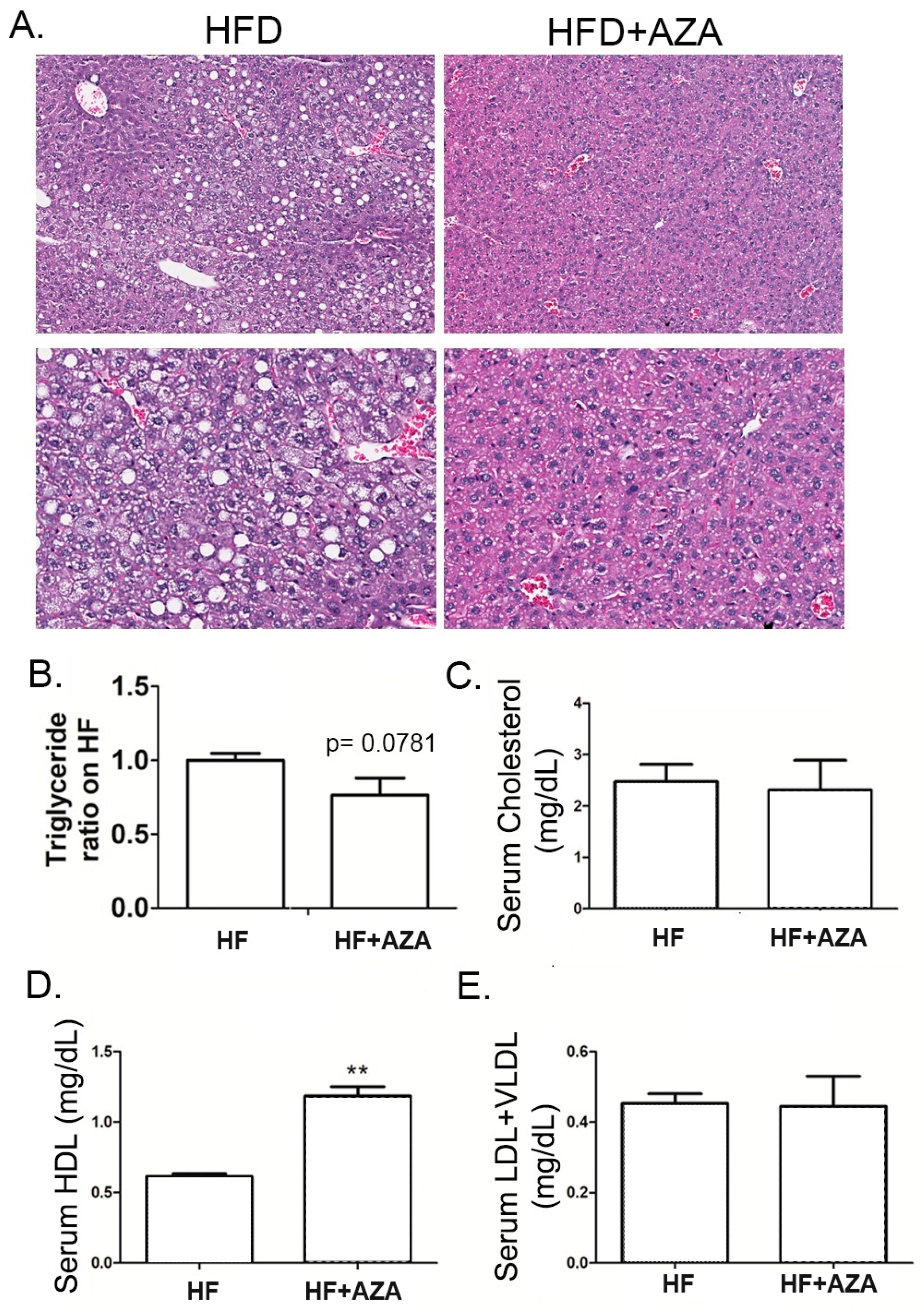 Nutrients 17 00106 g002