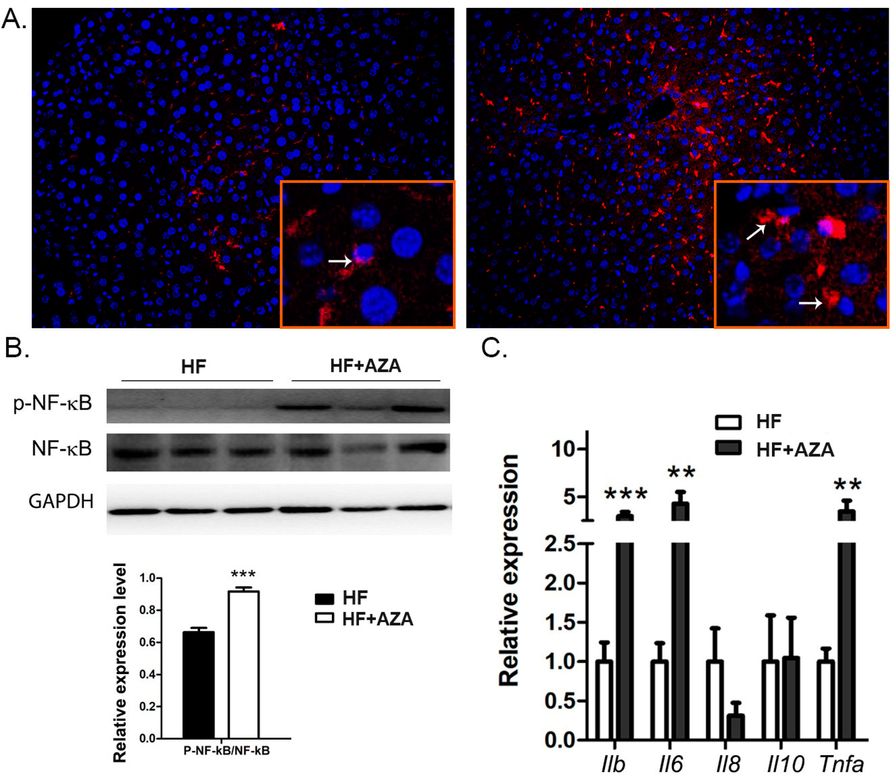 Nutrients 17 00106 g005