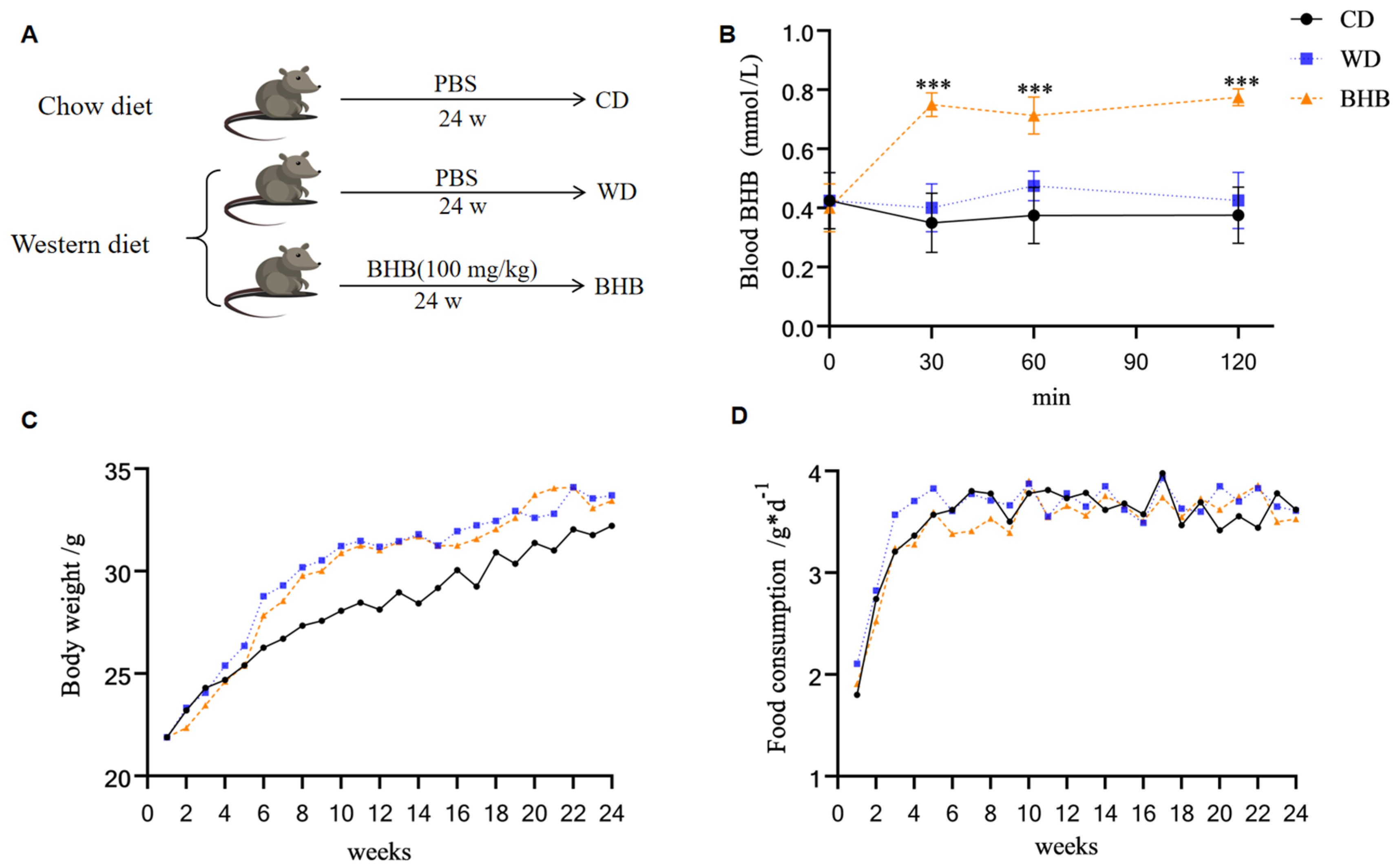 Nutrients 17 00111 g001