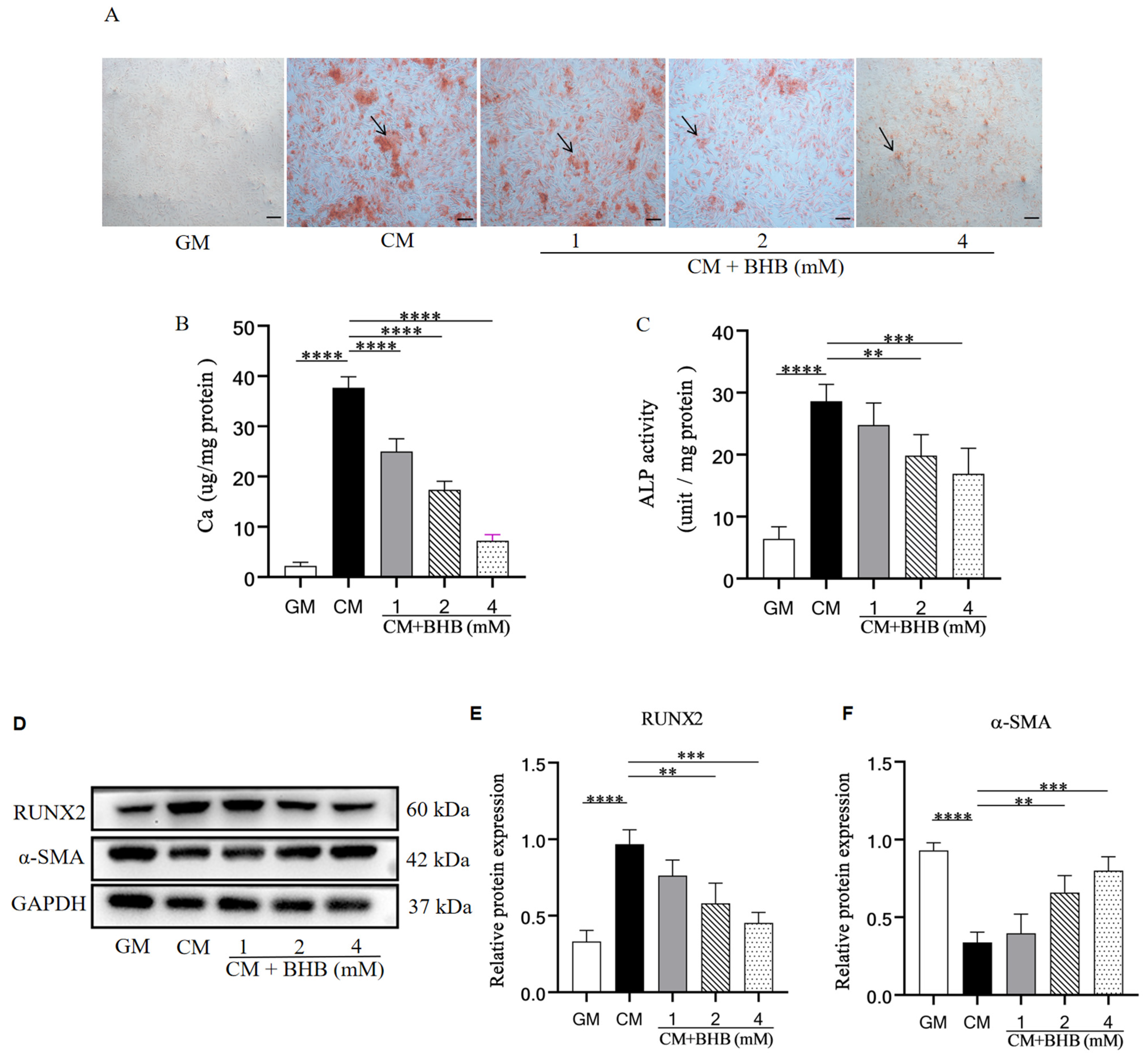 Nutrients 17 00111 g005