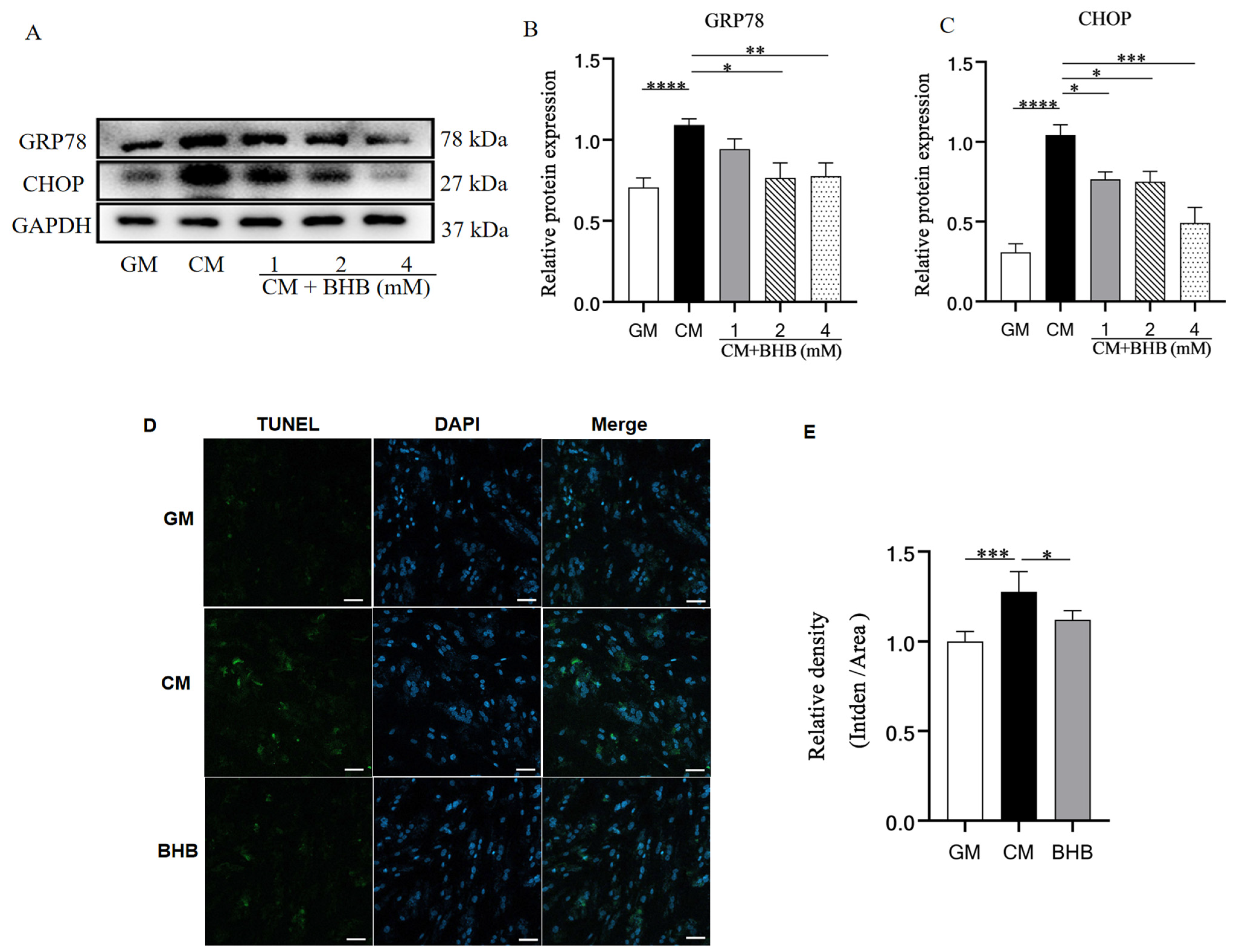 Nutrients 17 00111 g006