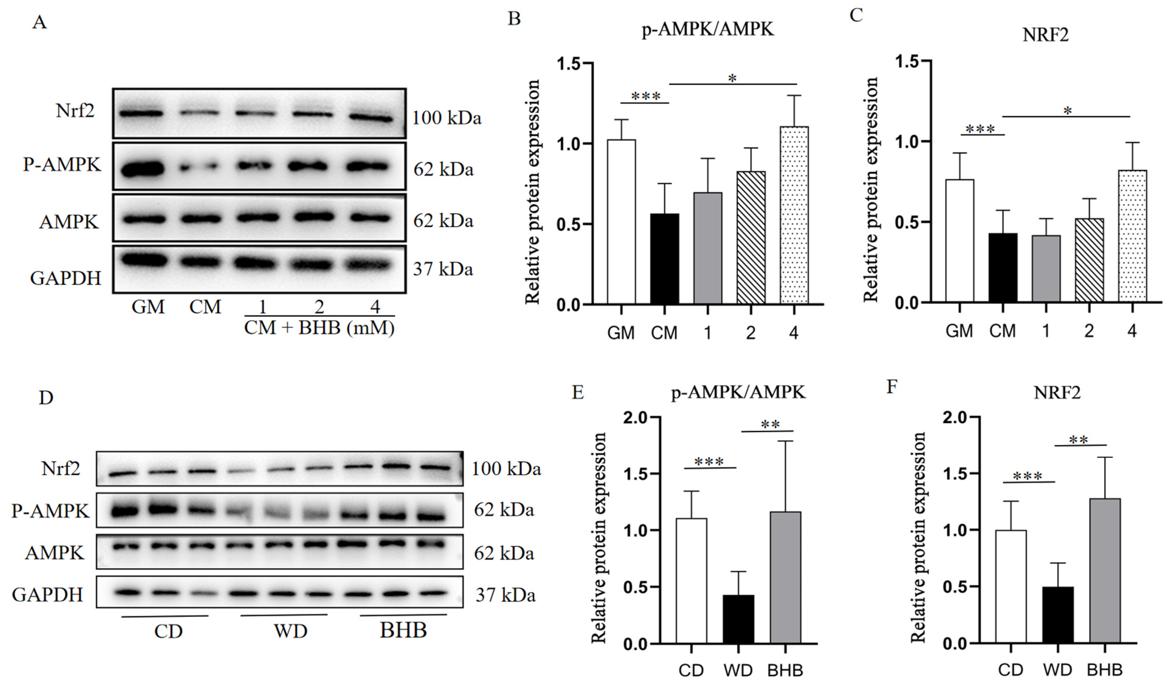 Nutrients 17 00111 g007