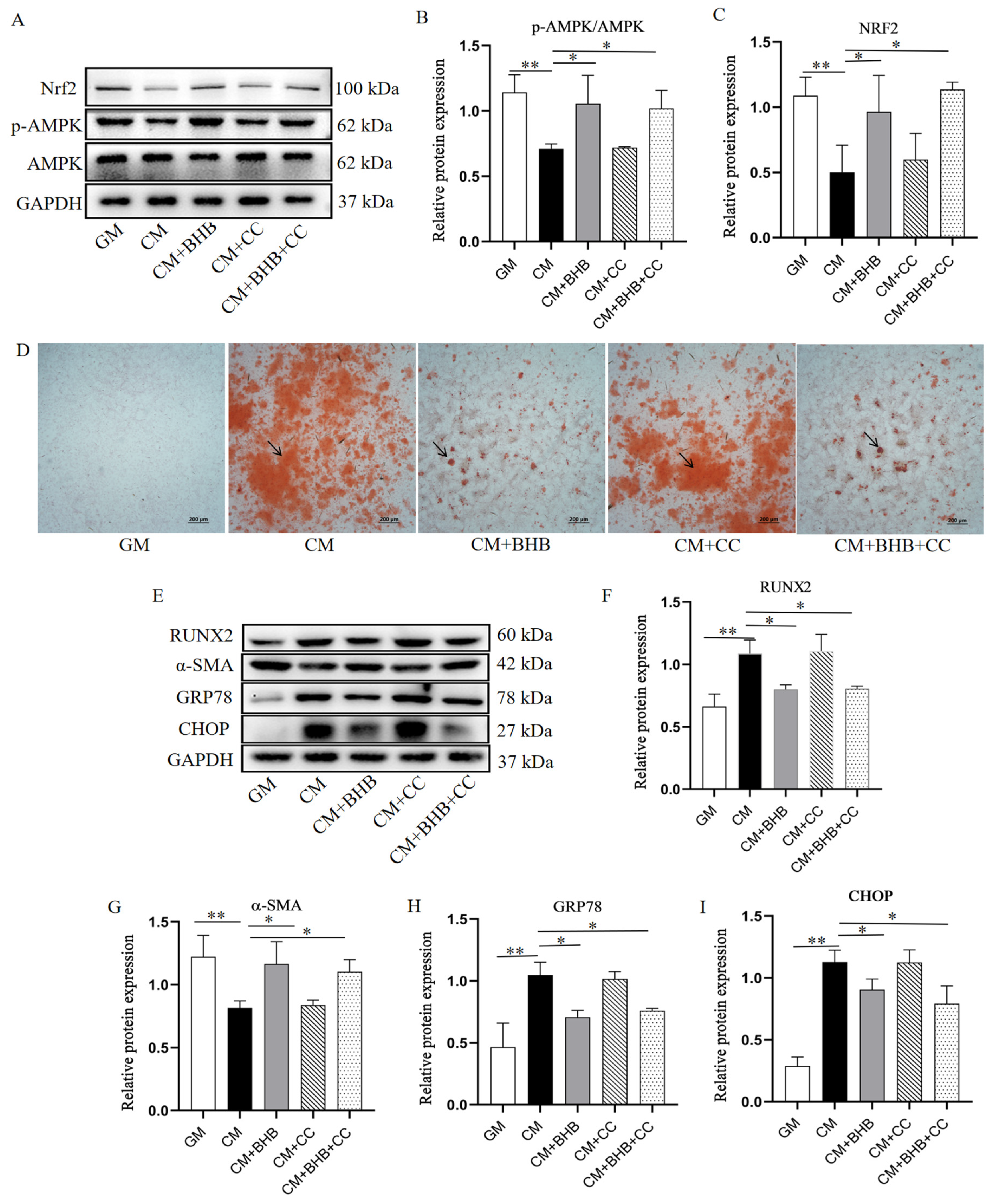 Nutrients 17 00111 g008
