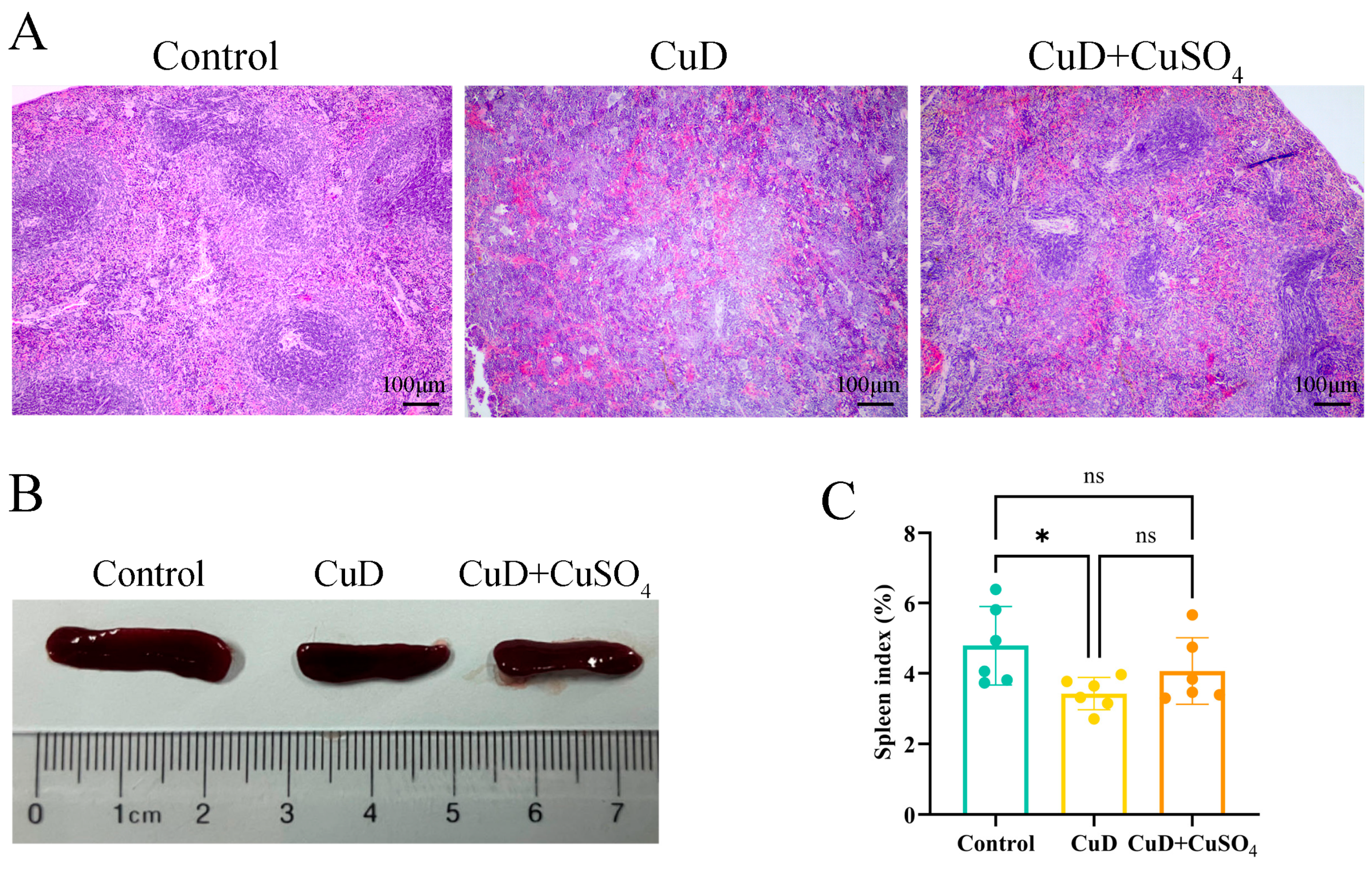 Nutrients 17 00117 g001