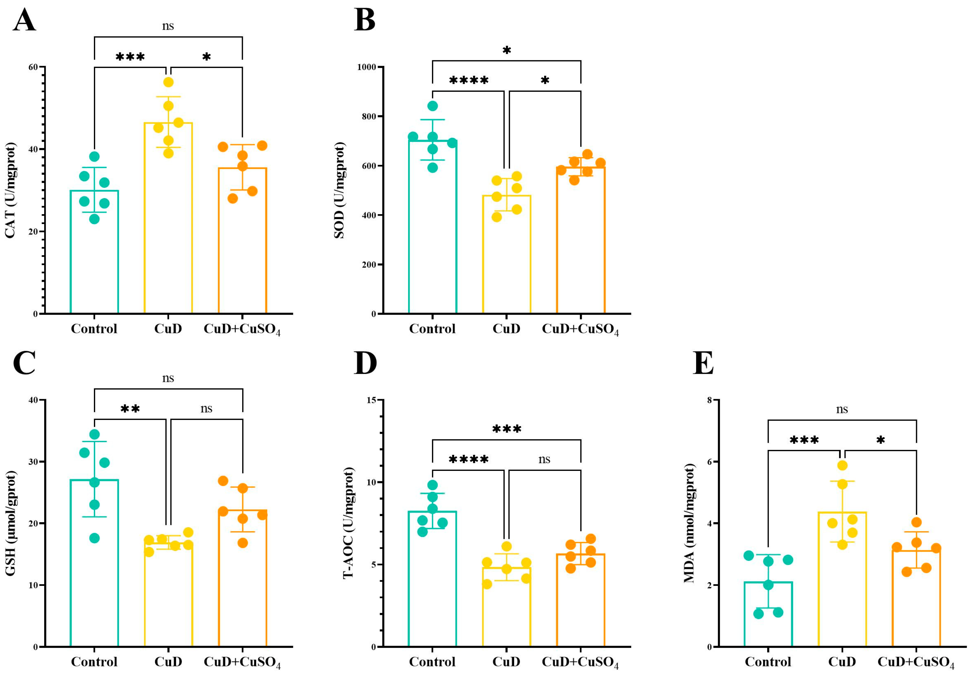 Nutrients 17 00117 g002