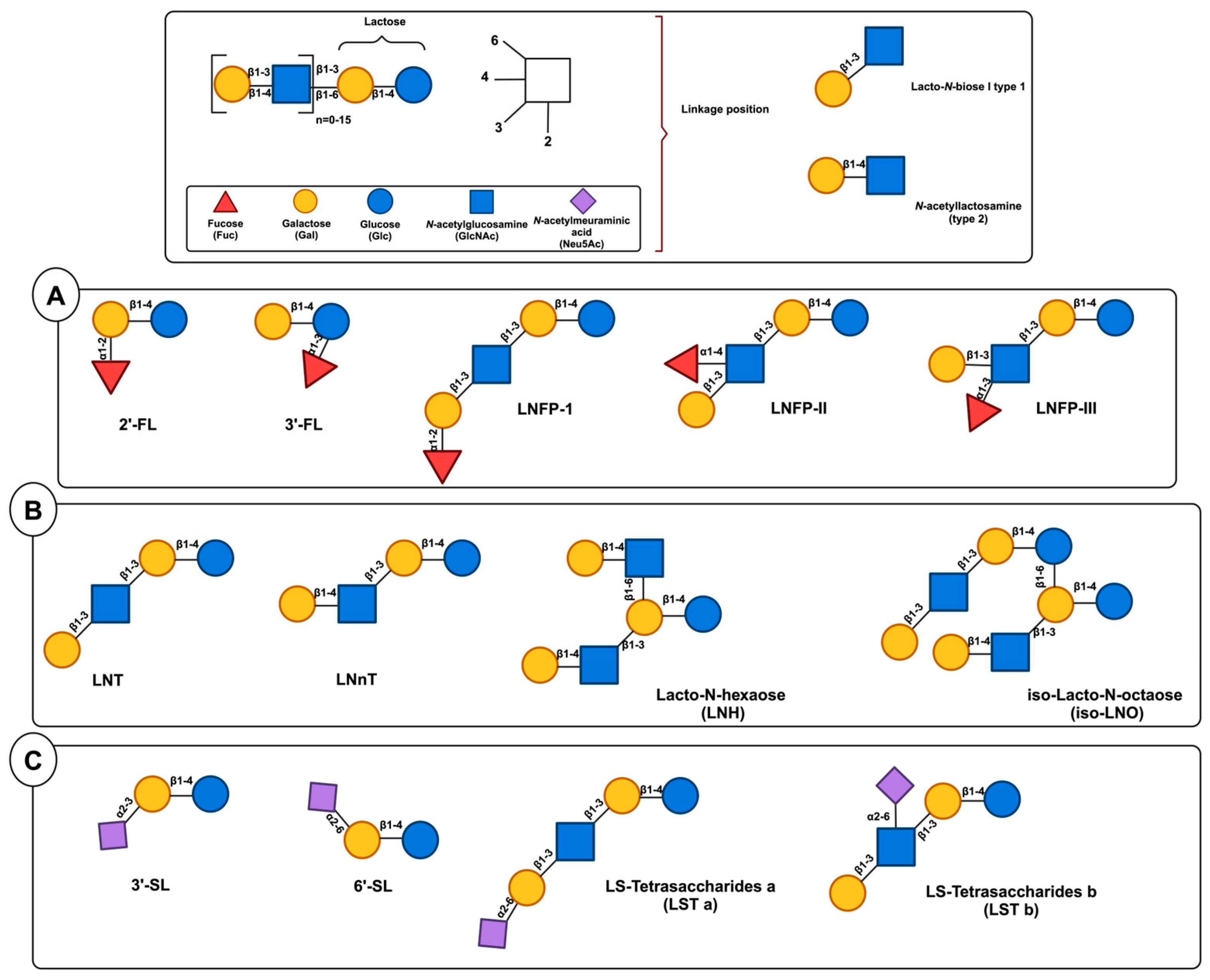 Nutrients 17 00118 g001