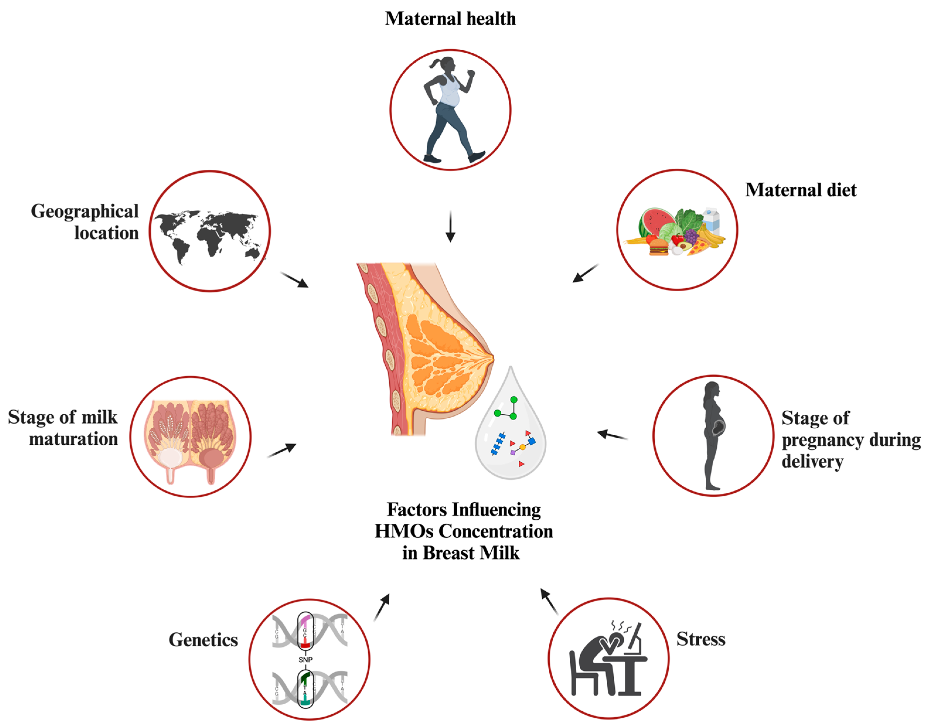 Nutrients 17 00118 g002