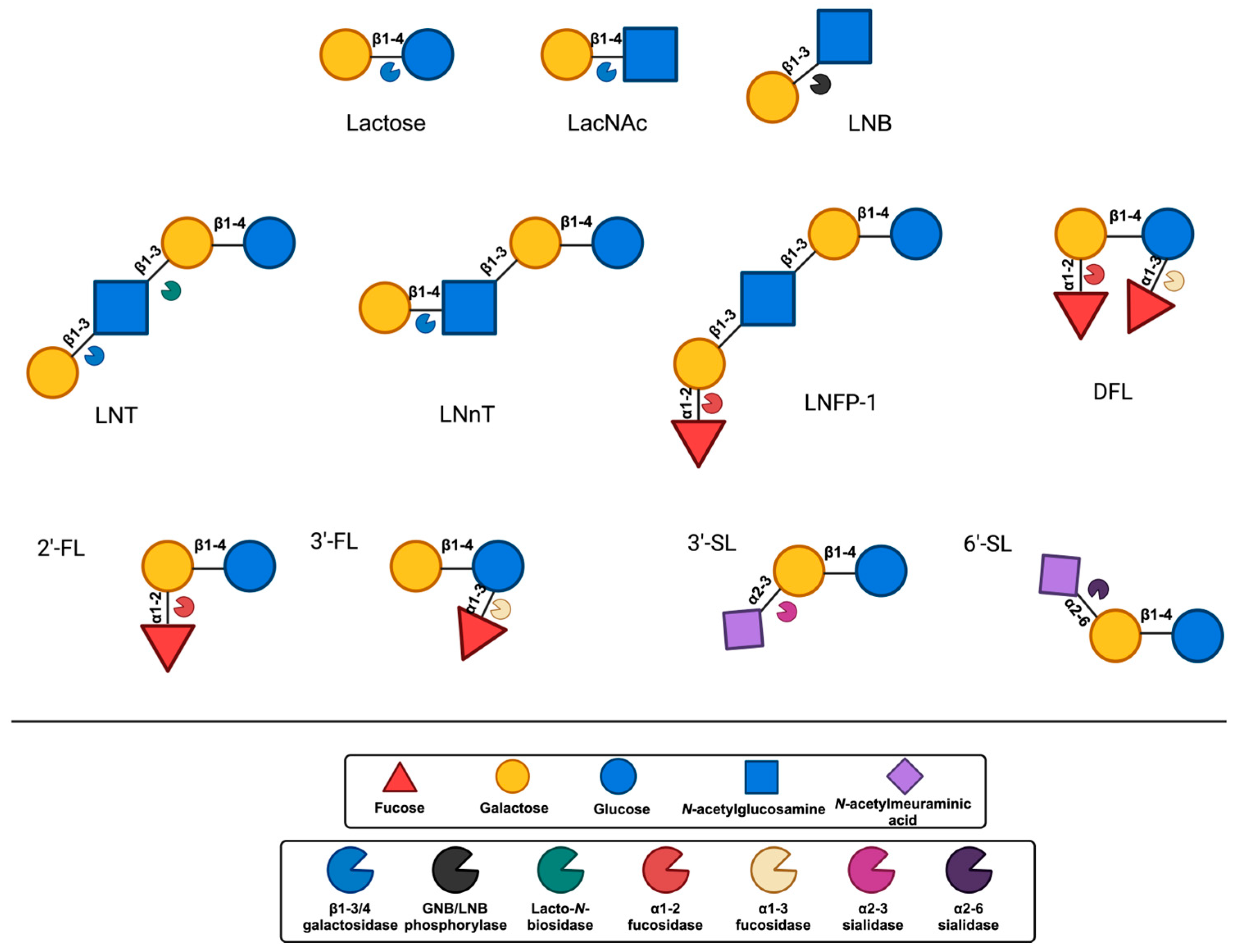 Nutrients 17 00118 g003