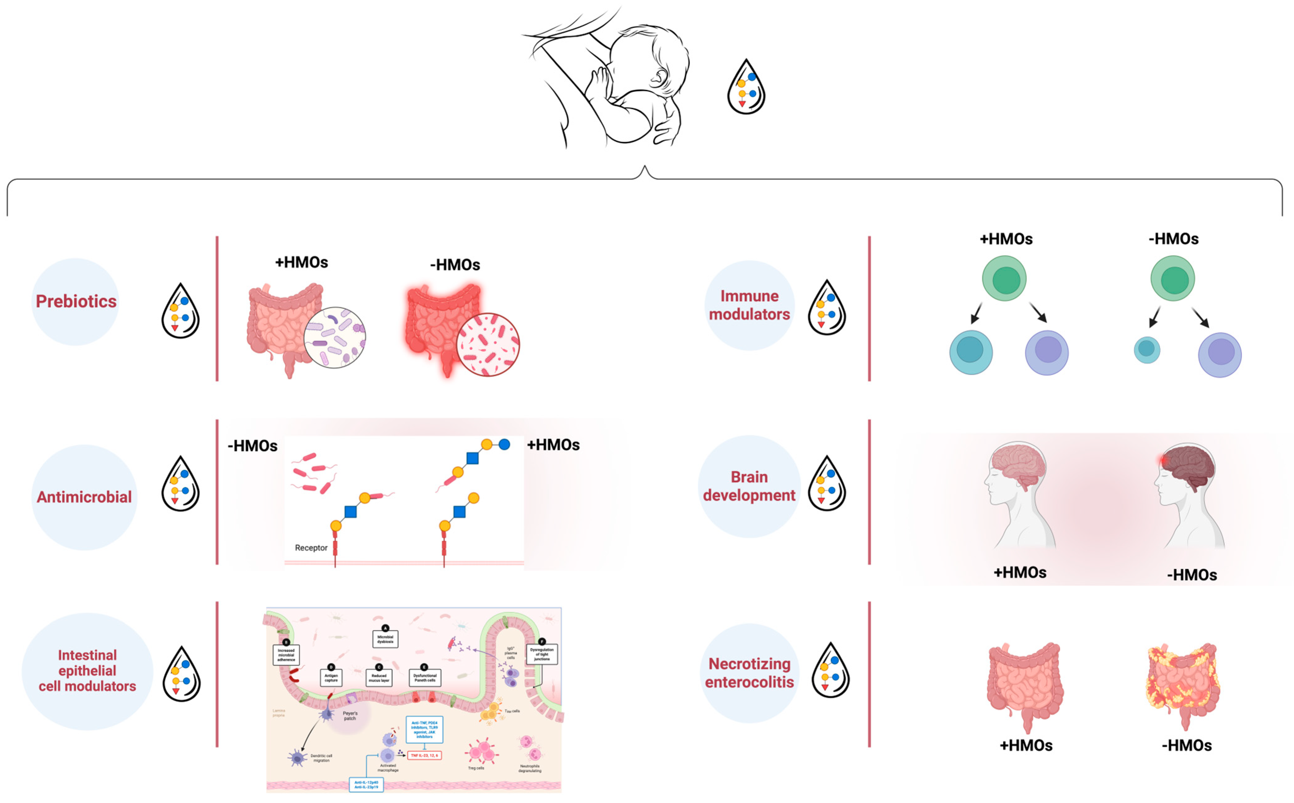 Nutrients 17 00118 g004