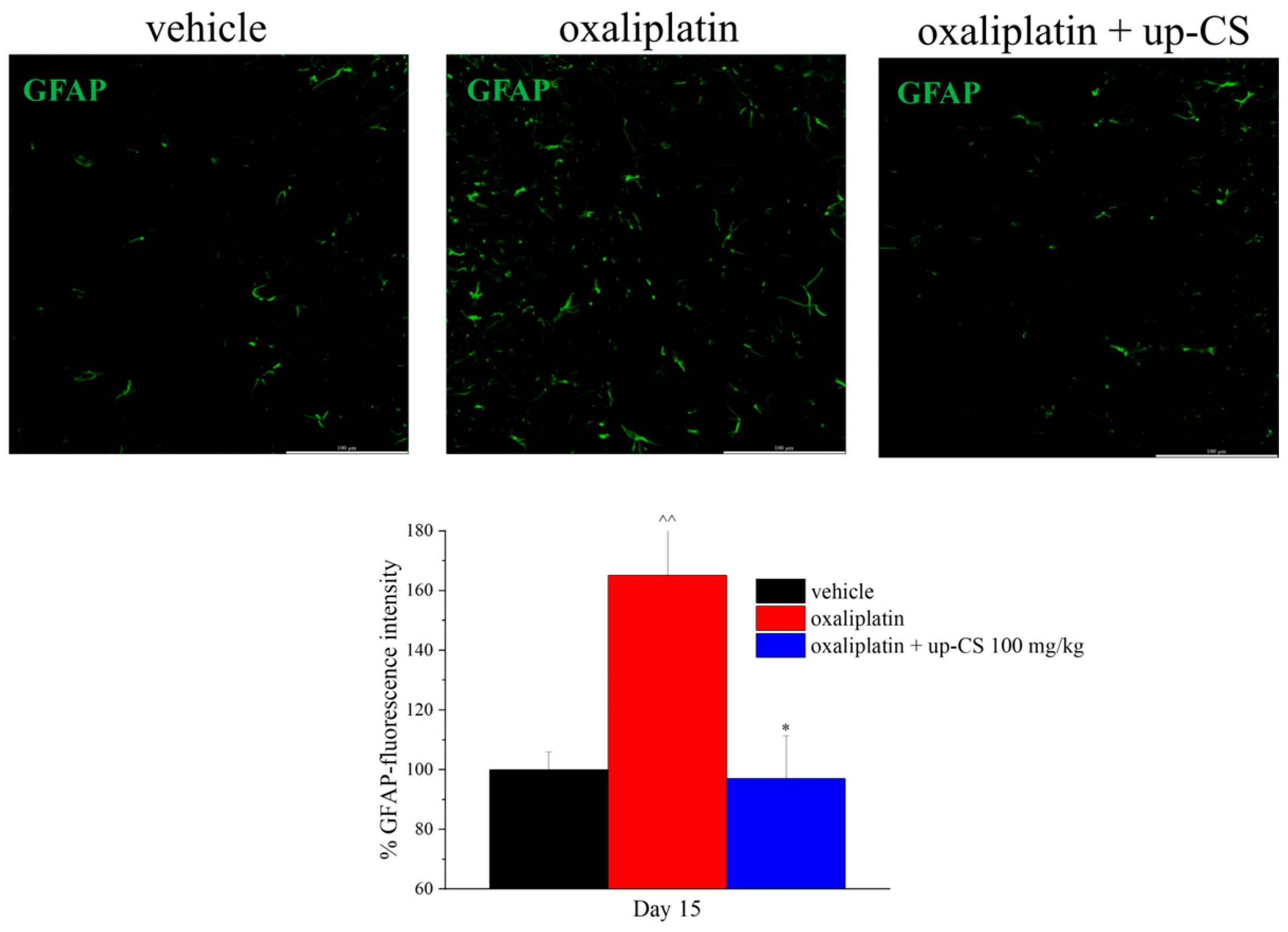 Nutrients 17 00121 g004 Nutrients 17 00121 g004