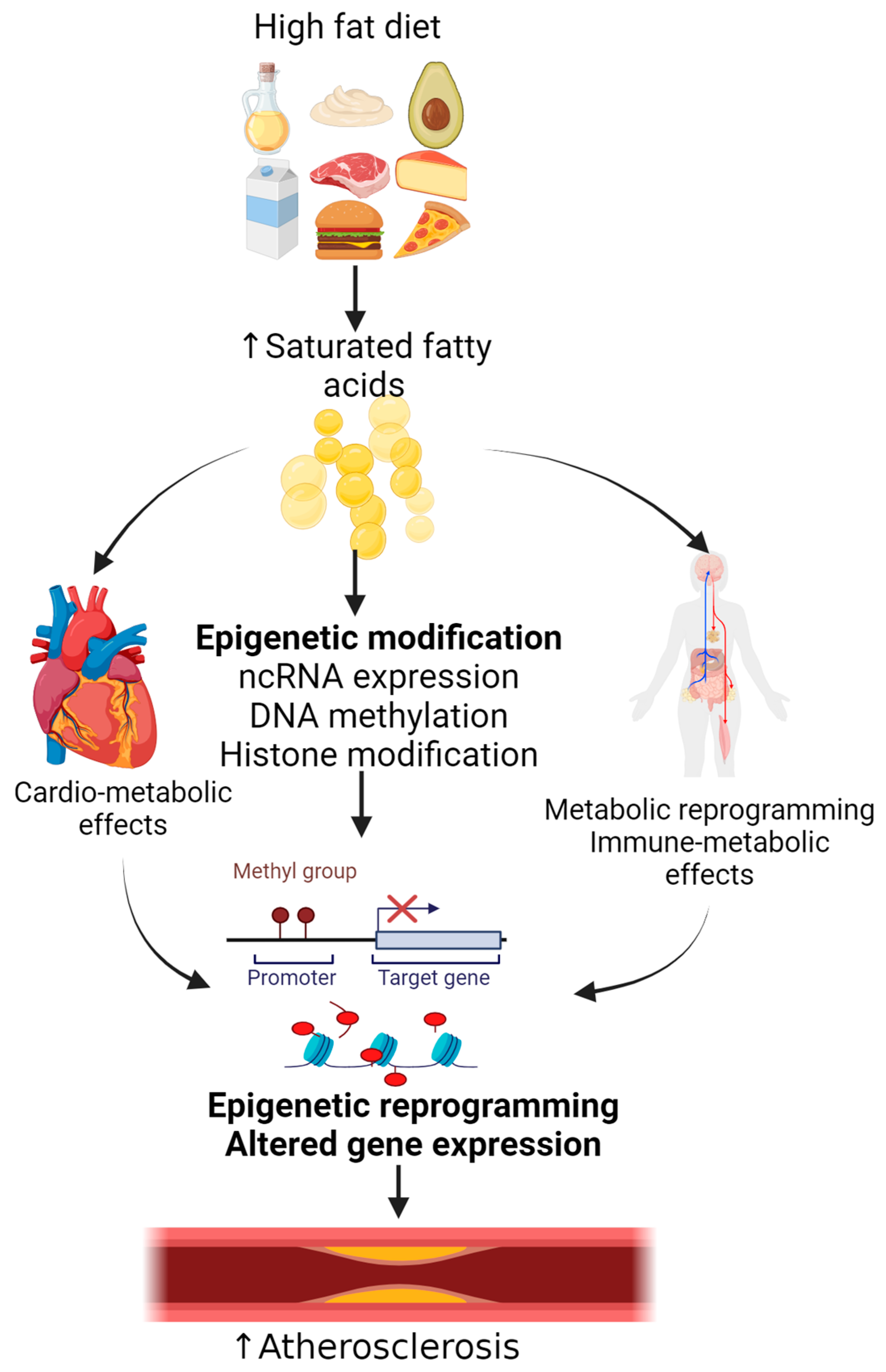 Nutrients 17 00127 g002
