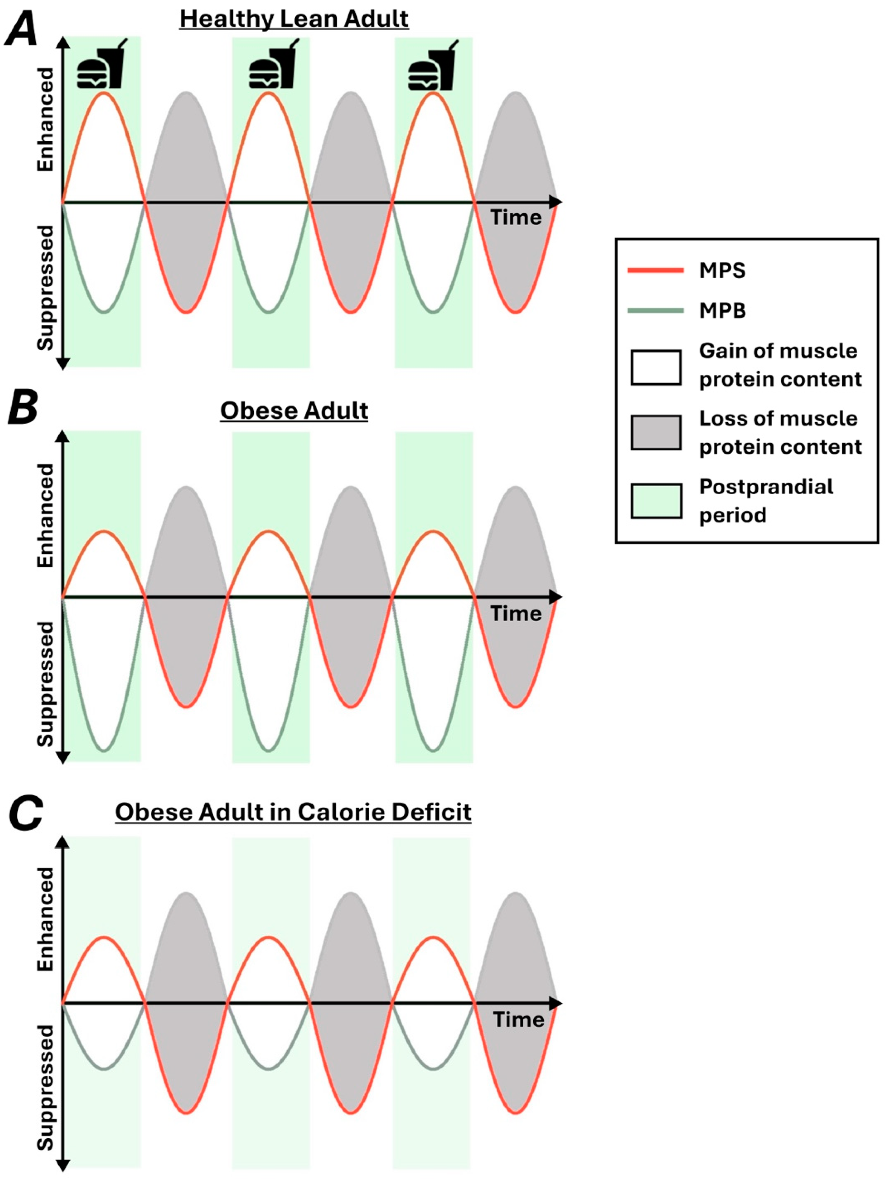 Nutrients 17 00132 g001