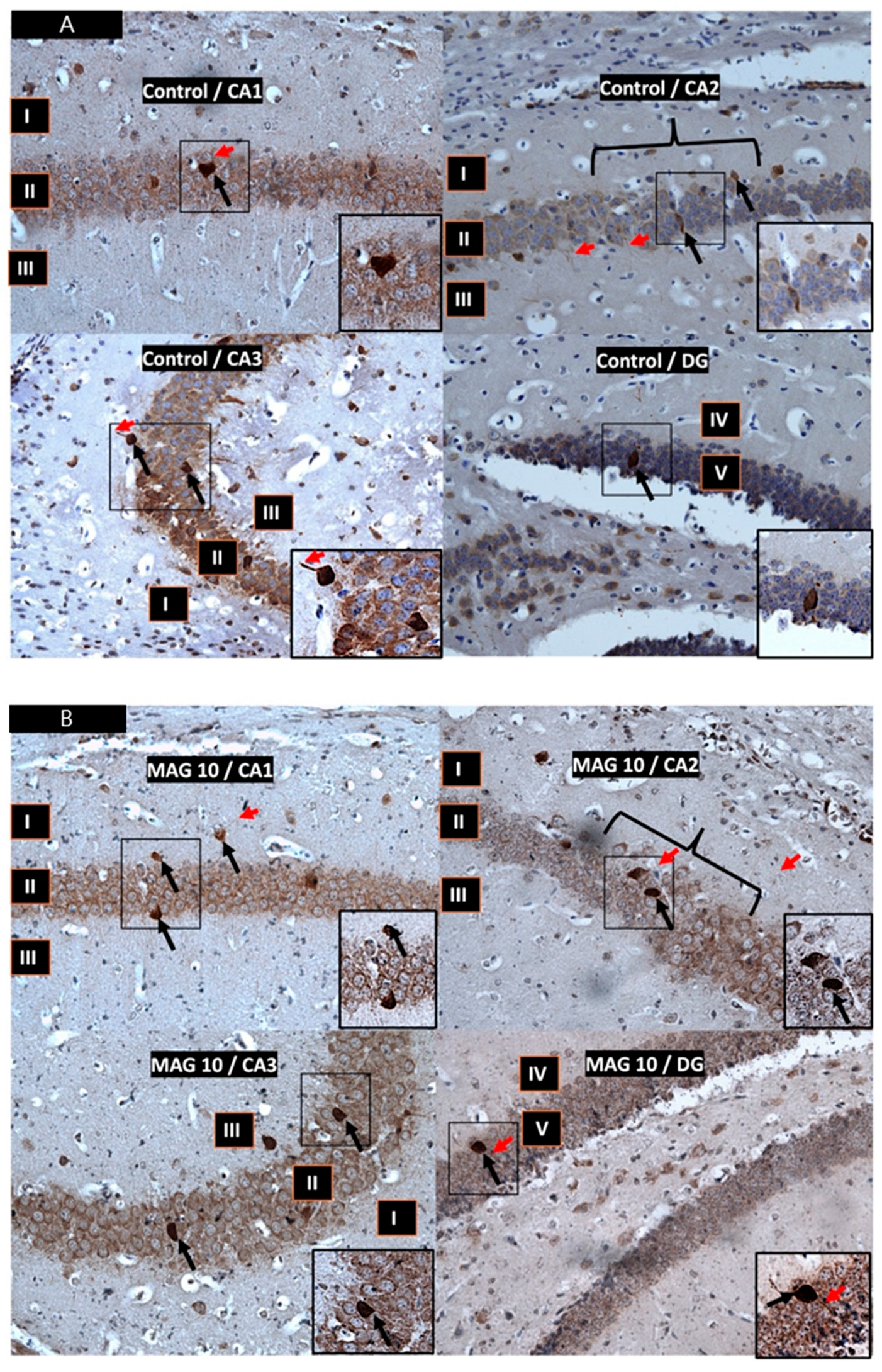 Nutrients 17 00137 g002a