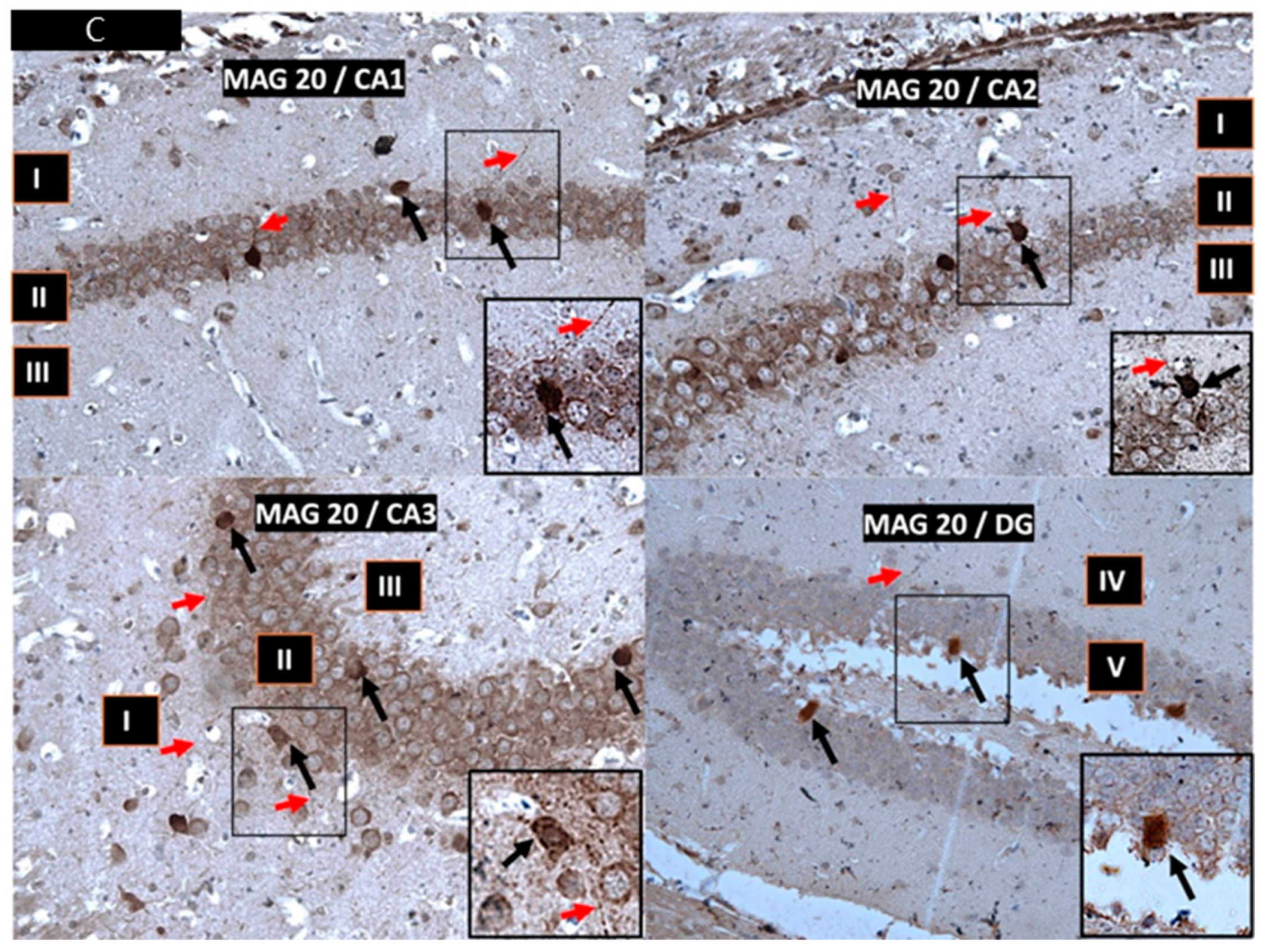 Nutrients 17 00137 g002b