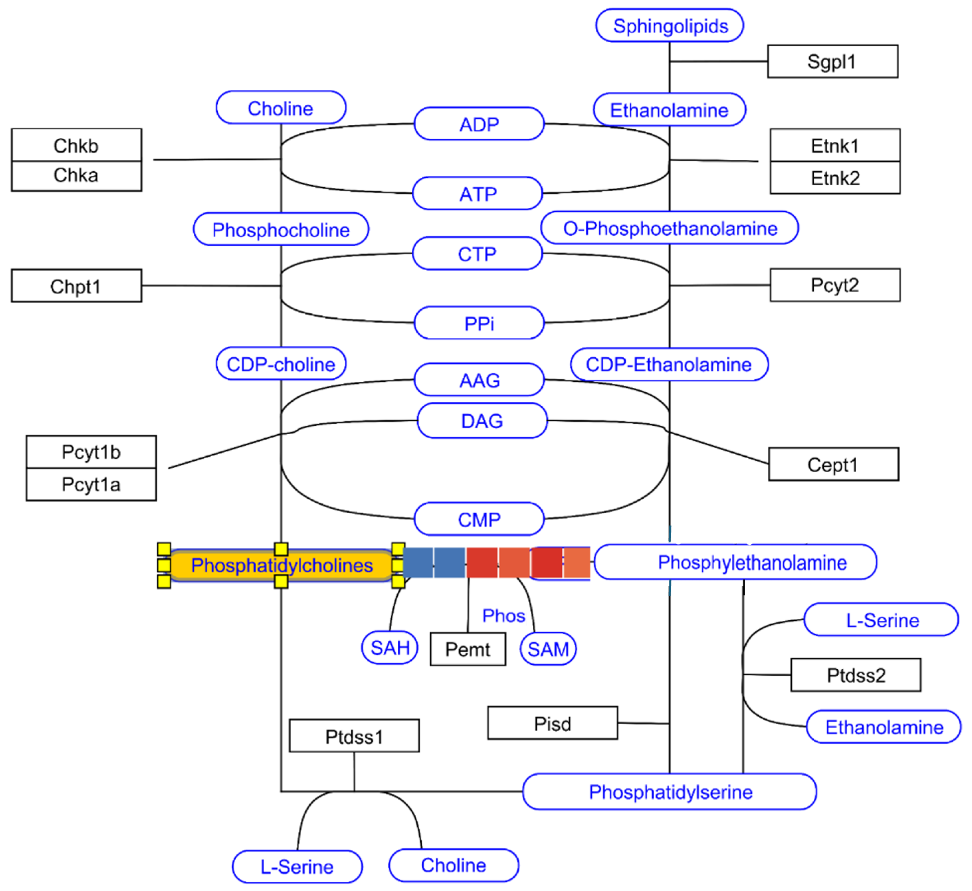 Nutrients 17 00137 g008