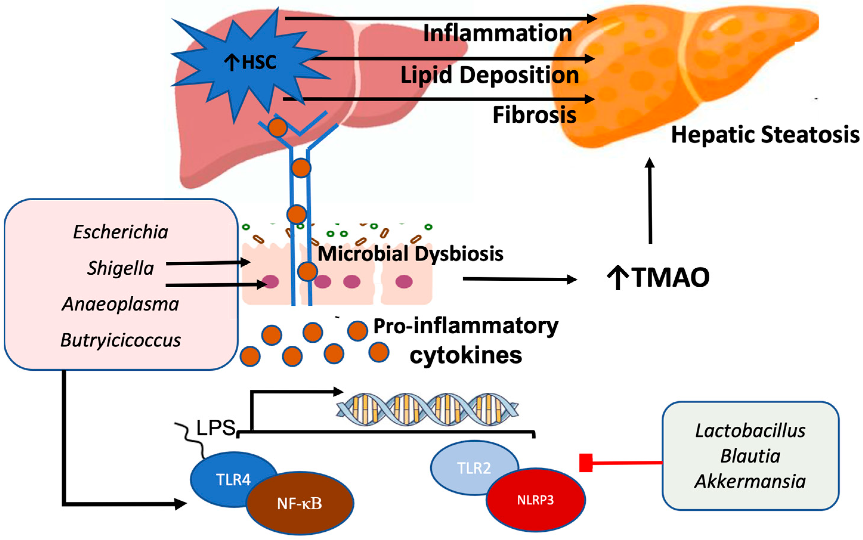 Nutrients 17 00143 g001