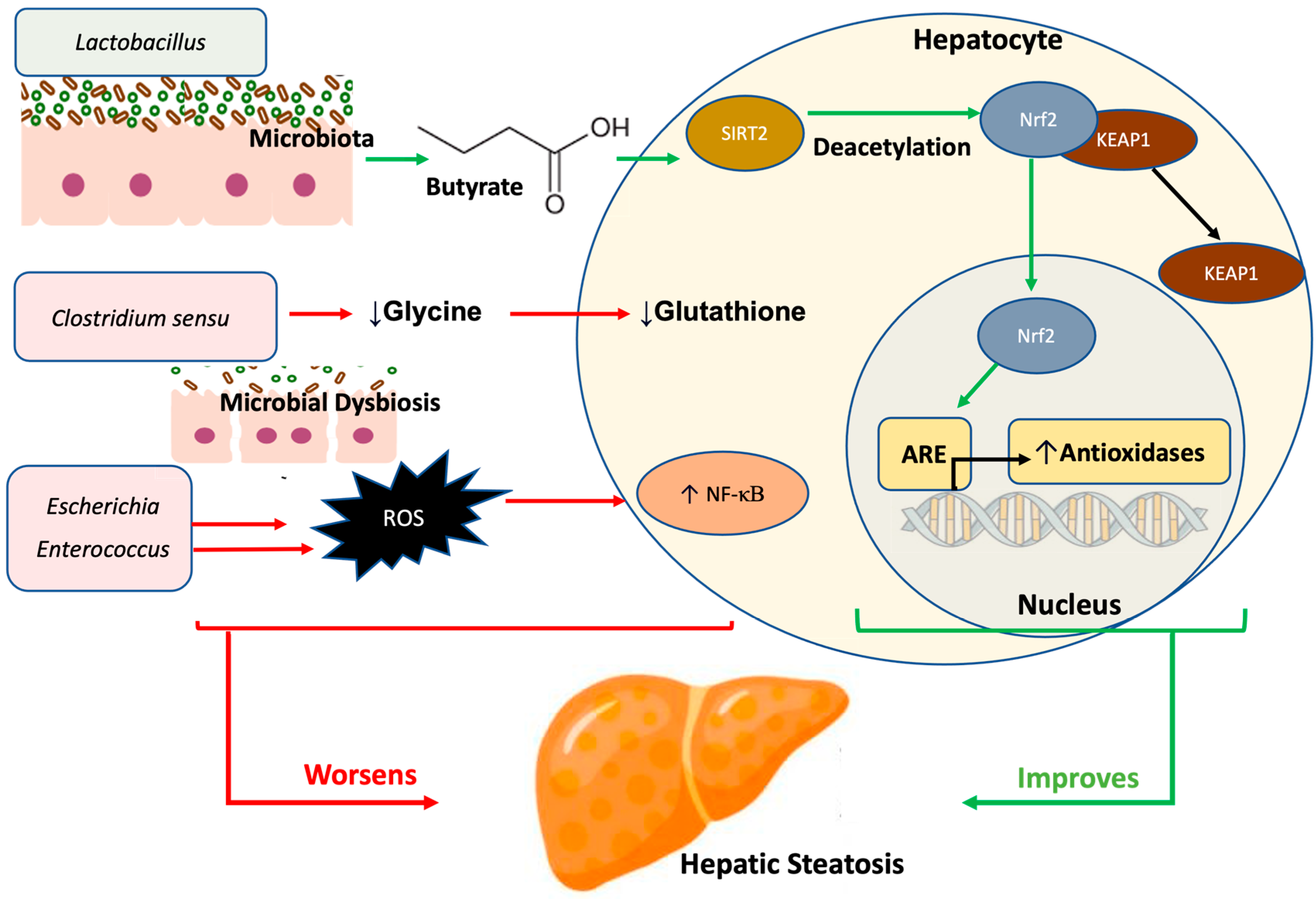 Nutrients 17 00143 g004