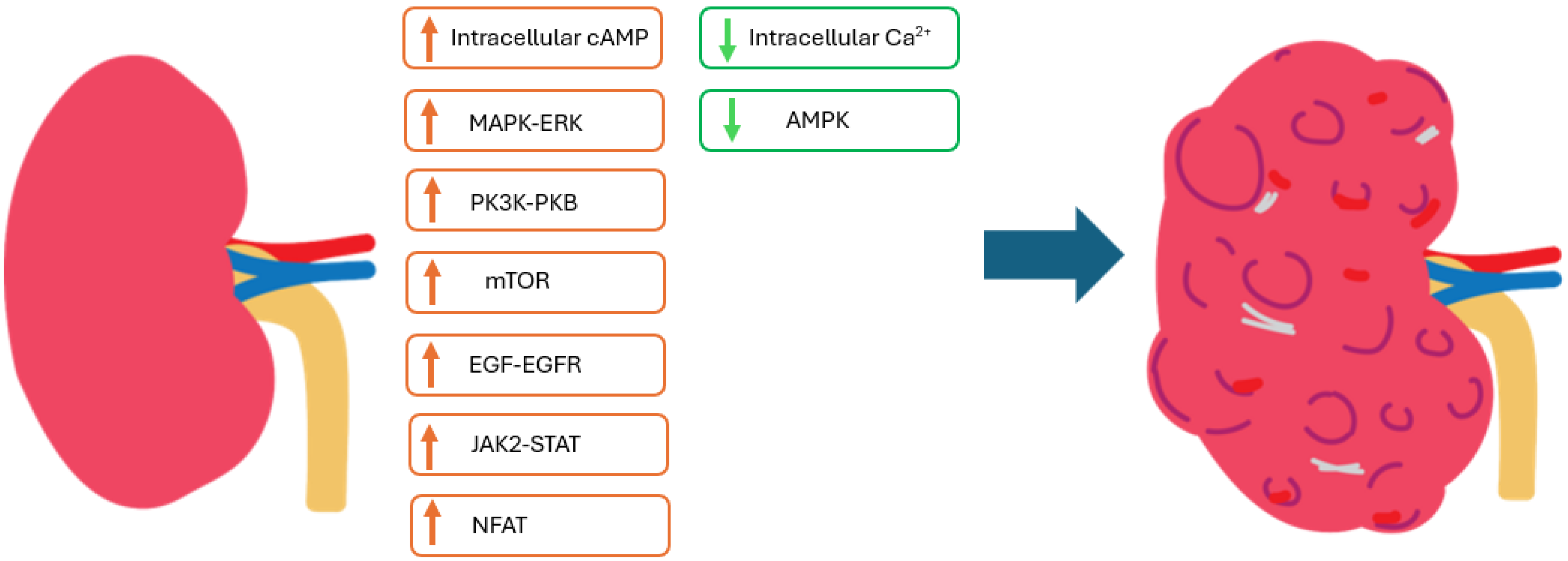 Nutrients 17 00145 g001