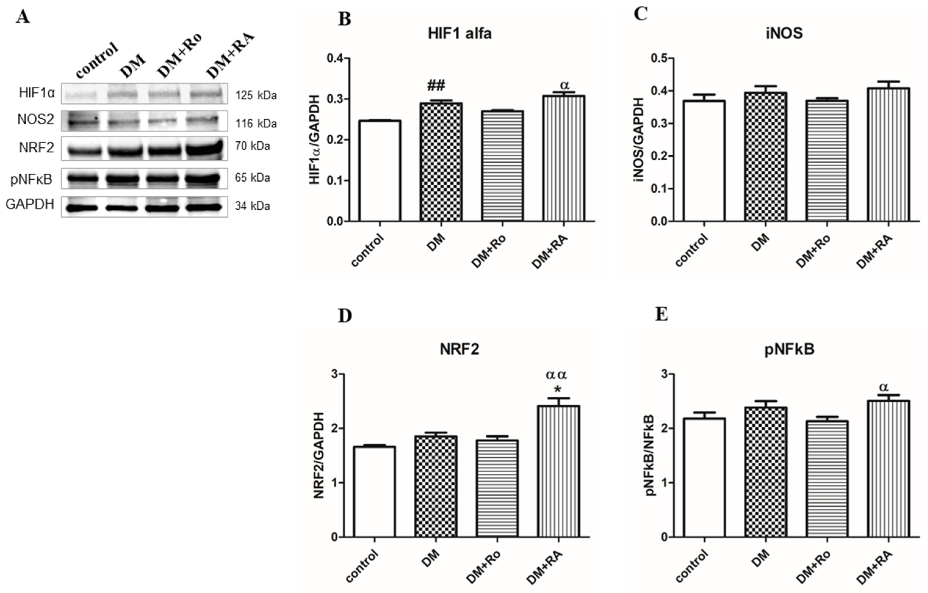 Nutrients 17 00158 g008