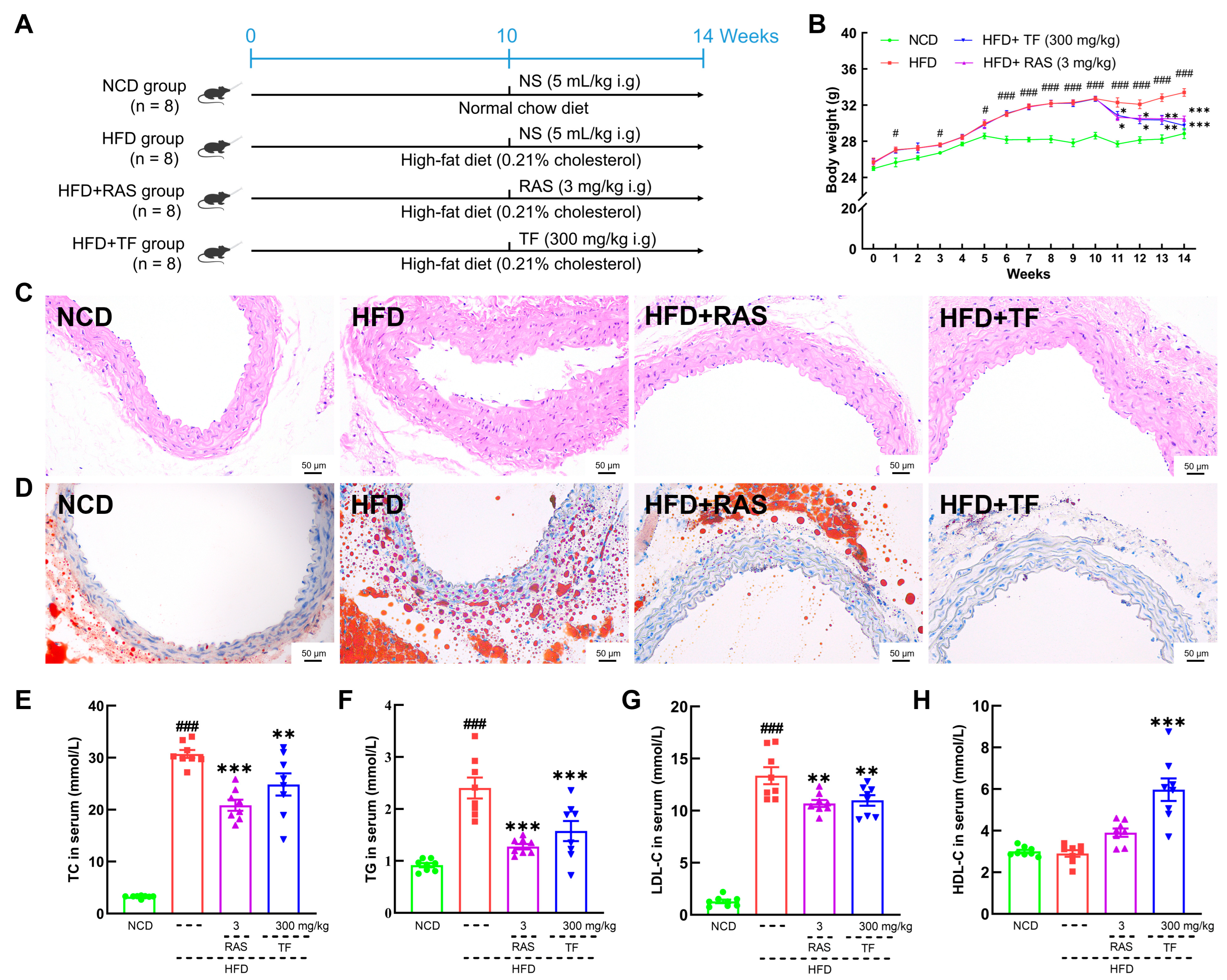 Nutrients 17 00160 g001