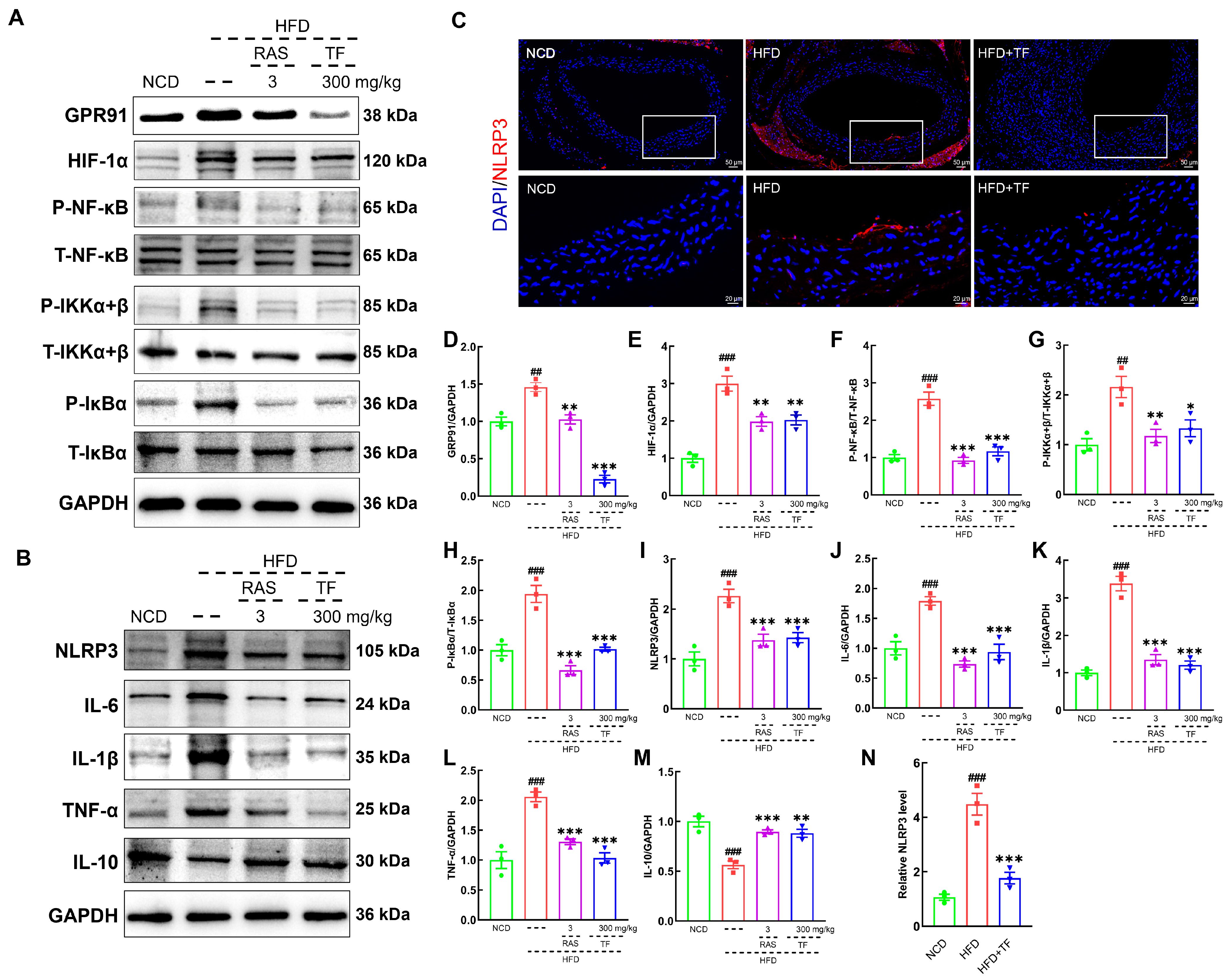 Nutrients 17 00160 g005