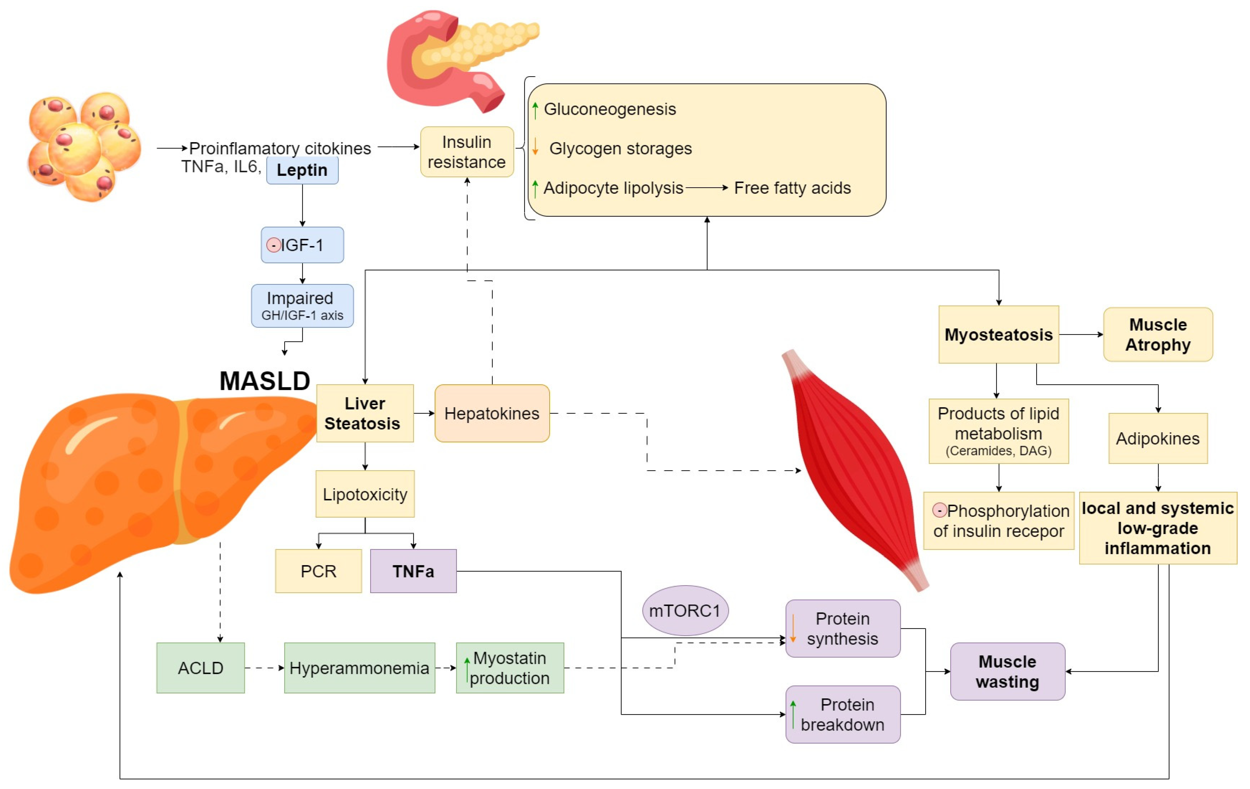 Nutrients 17 00178 g002