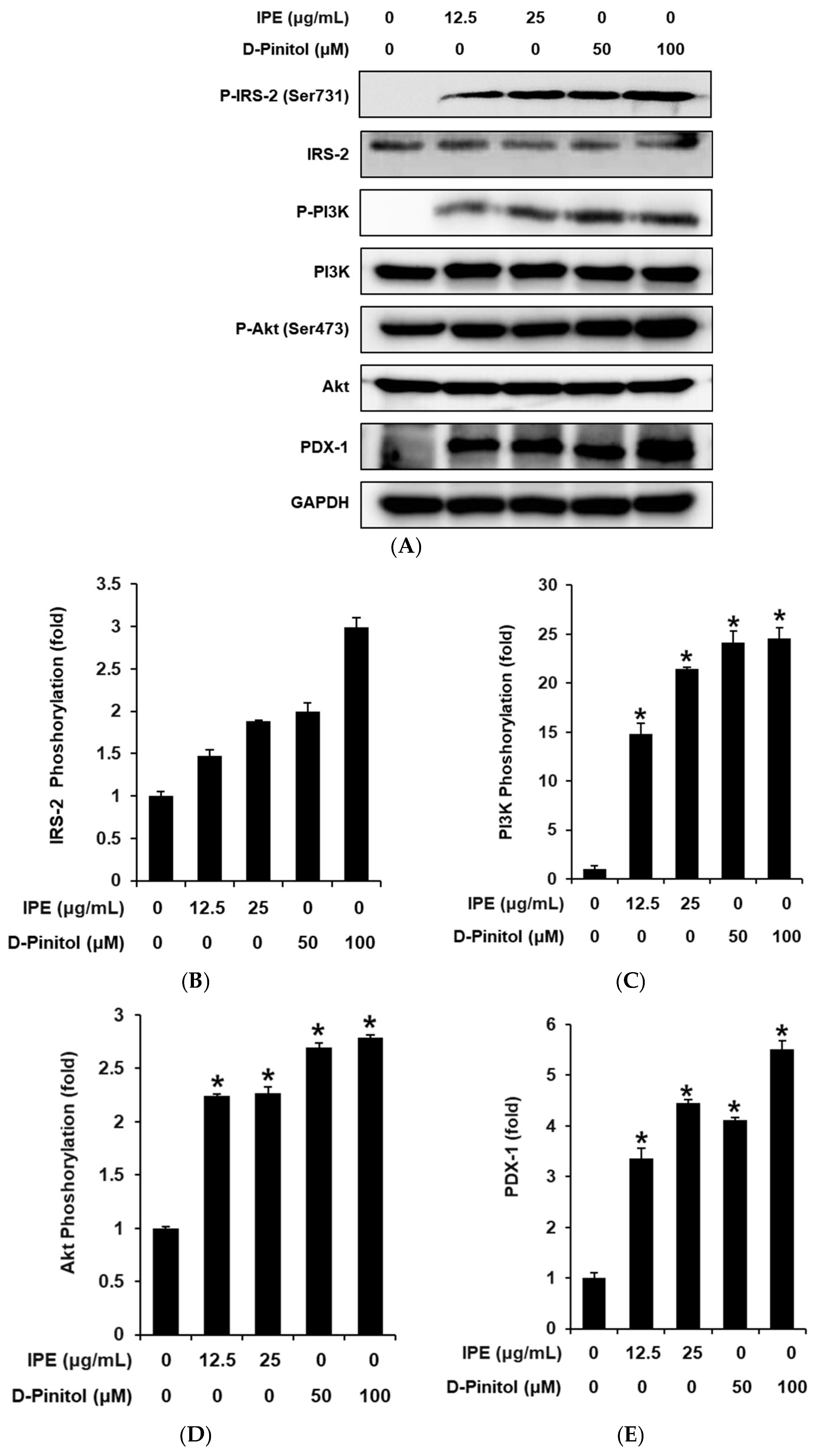 Nutrients 17 00193 g004