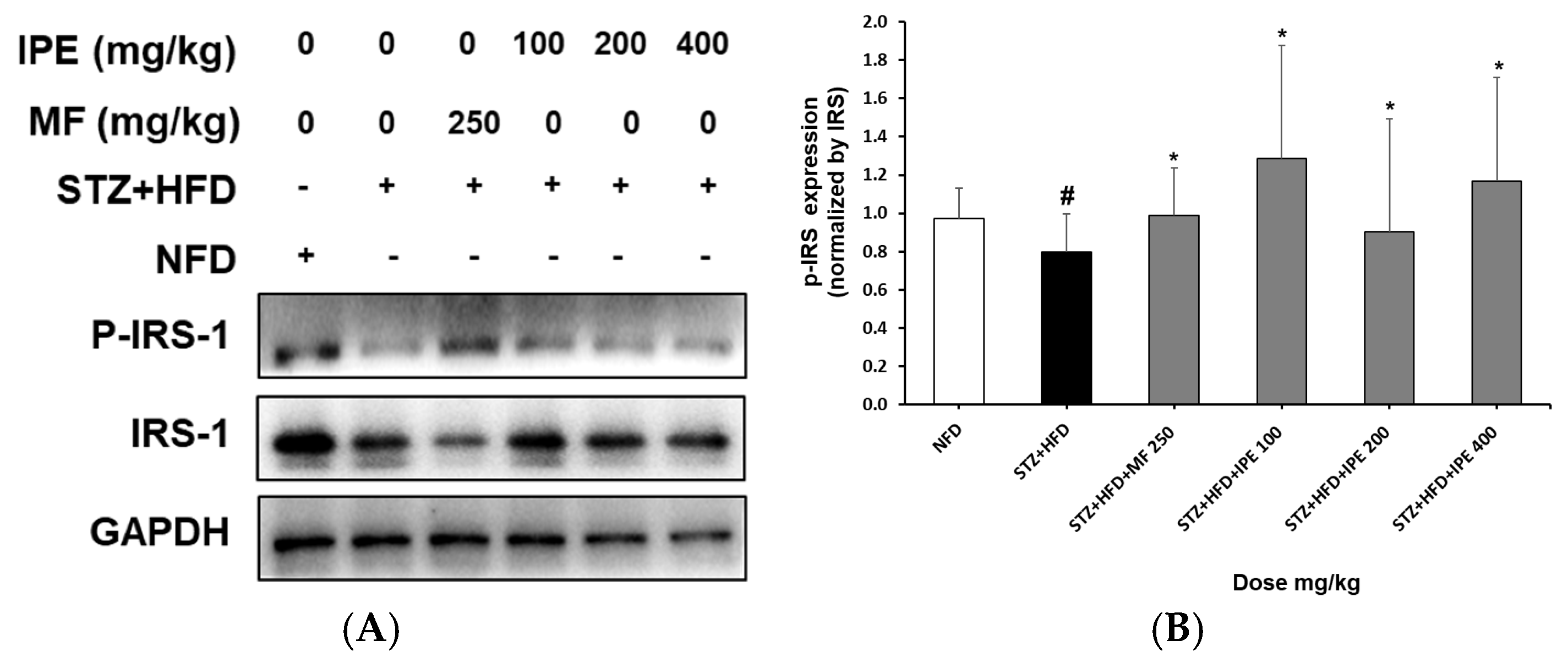 Nutrients 17 00193 g008