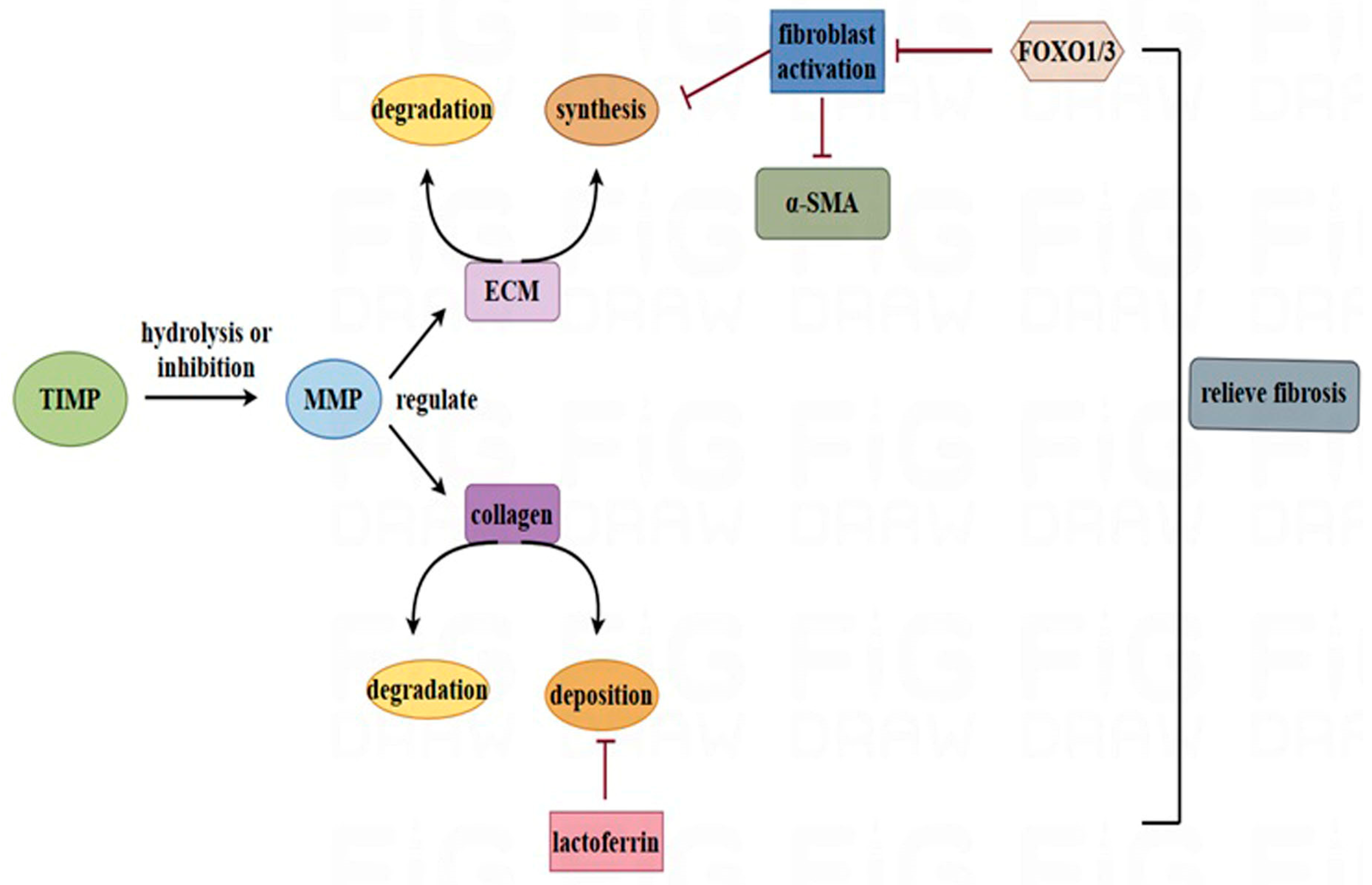 Nutrients 17 00197 g004