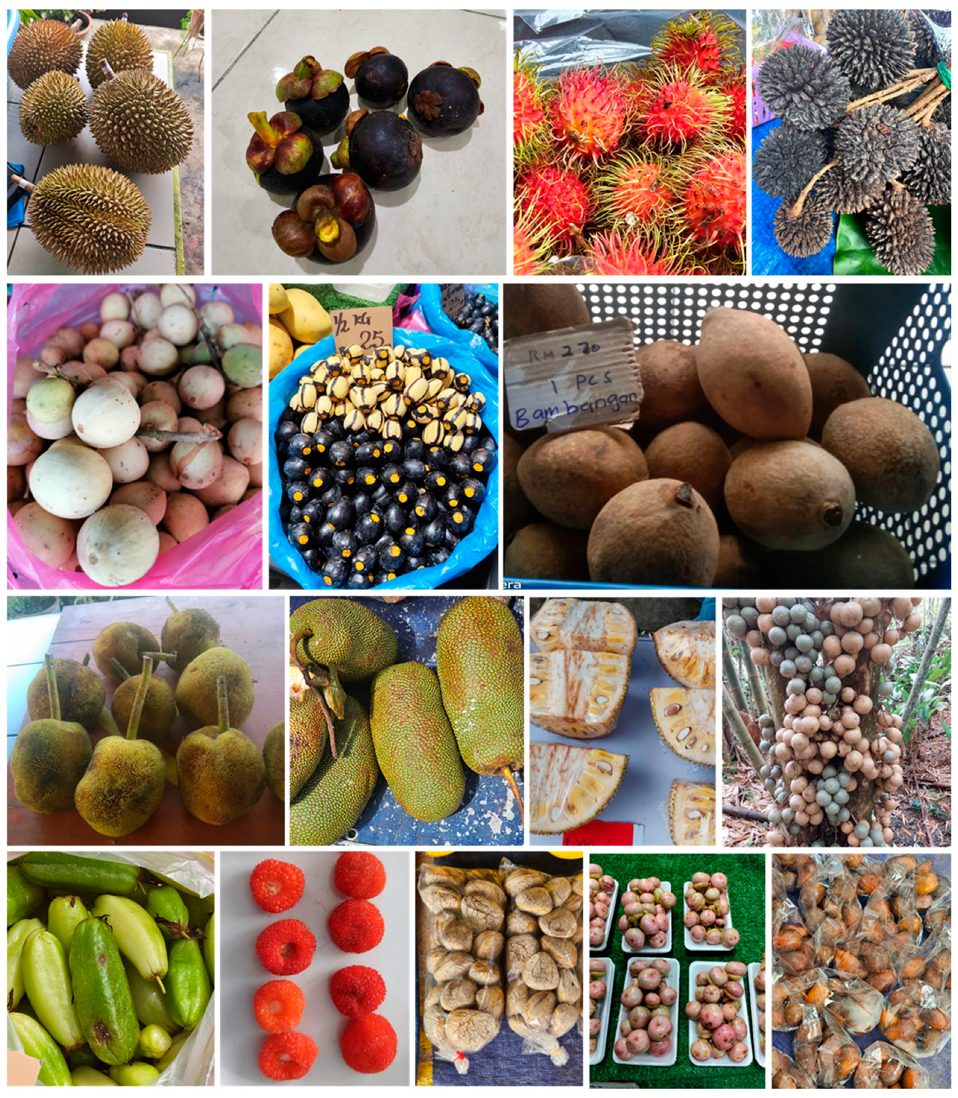 Nutrients 17 00200 g001