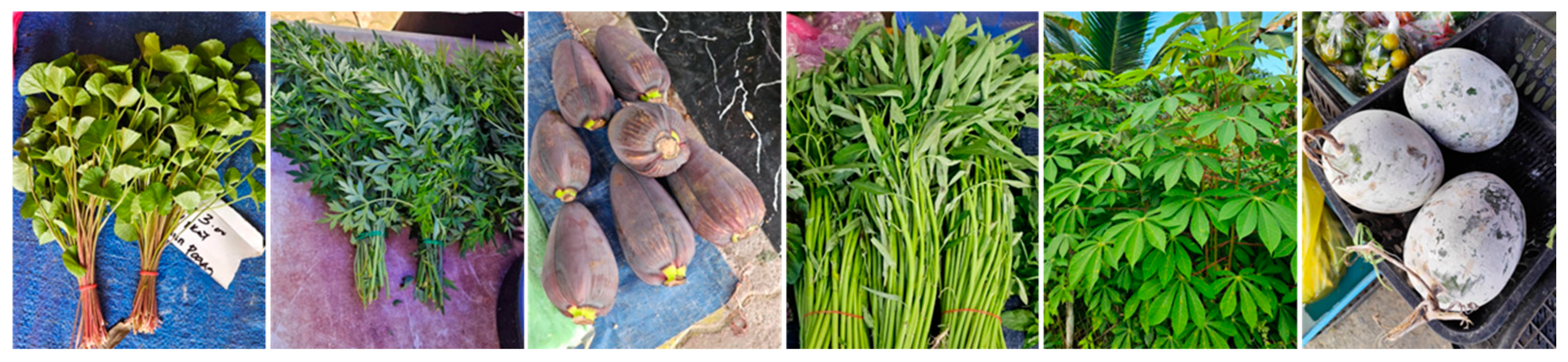 Nutrients 17 00200 g005