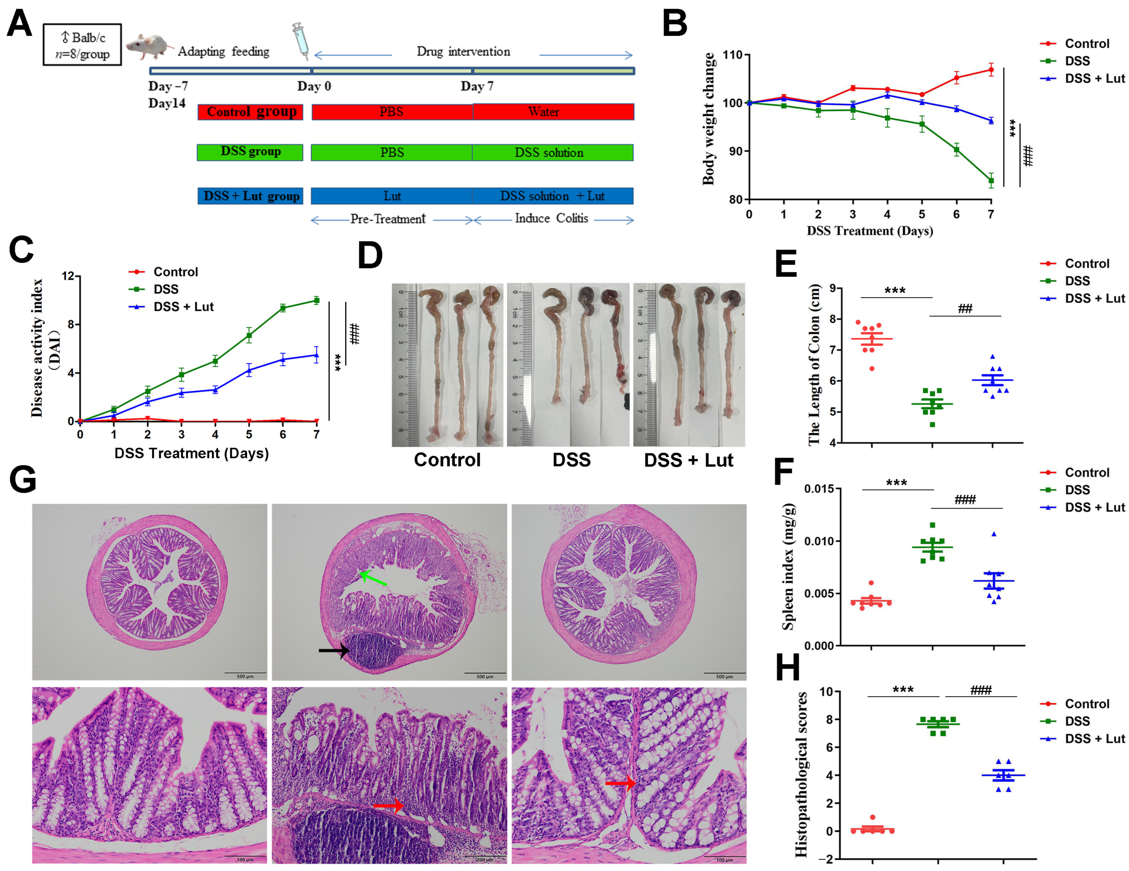 Nutrients 17 00203 g001