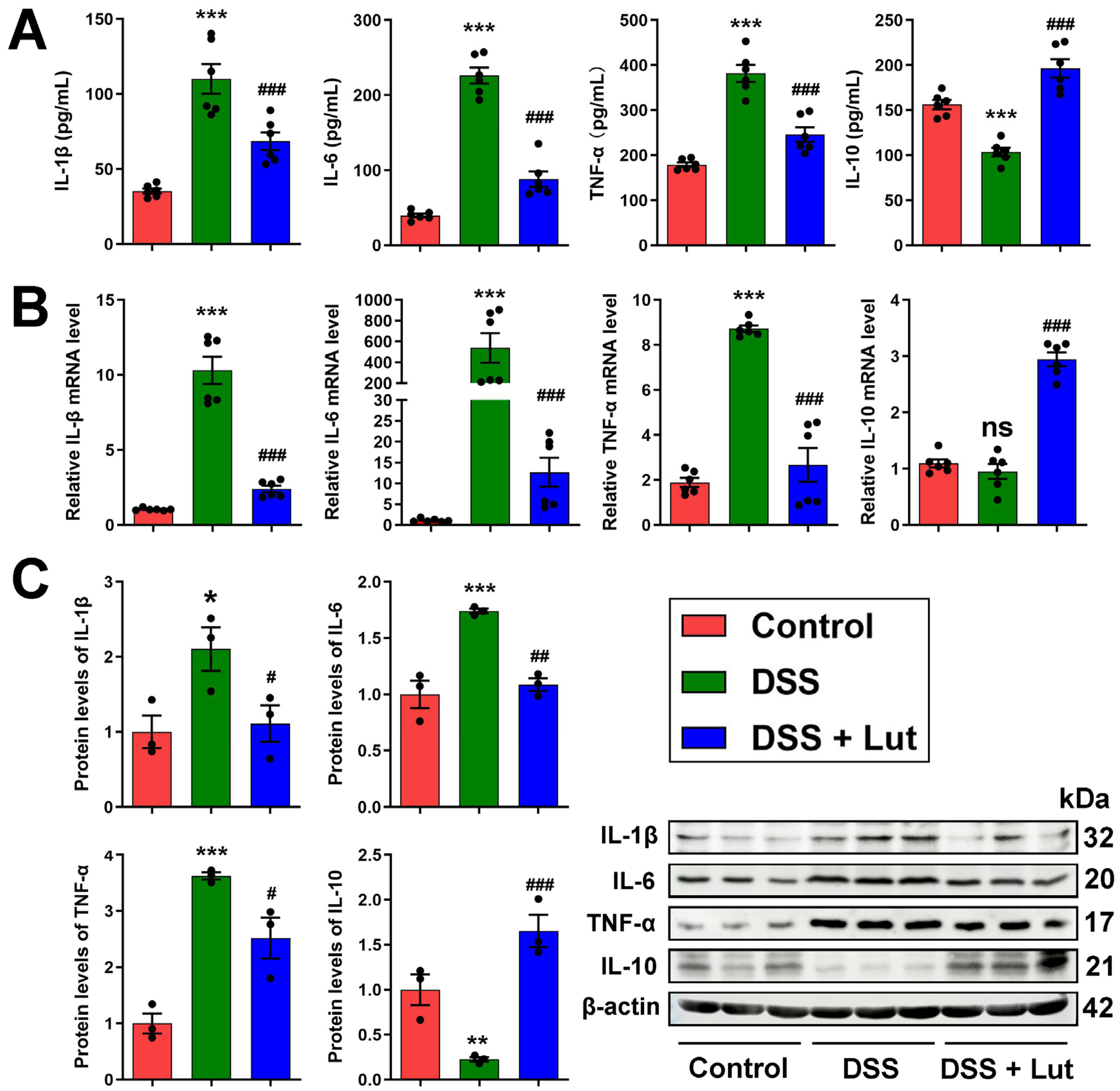 Nutrients 17 00203 g002