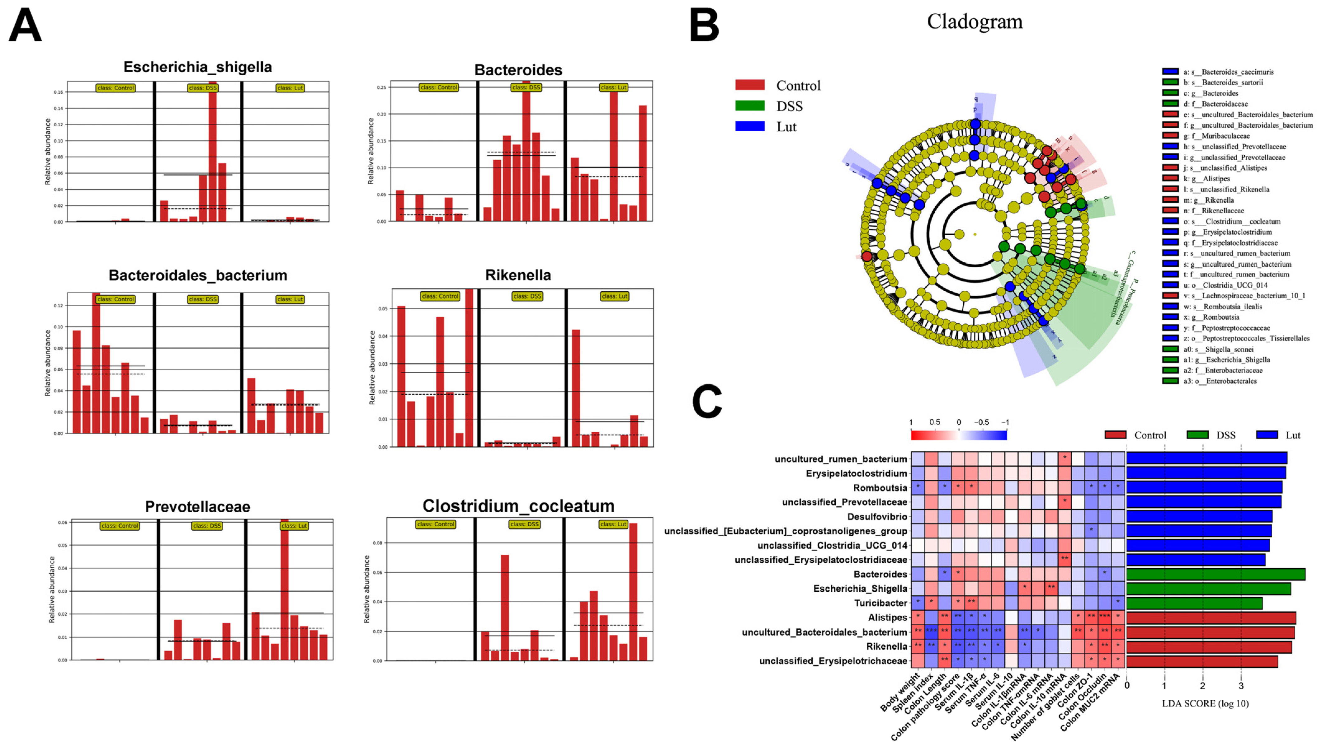 Nutrients 17 00203 g005