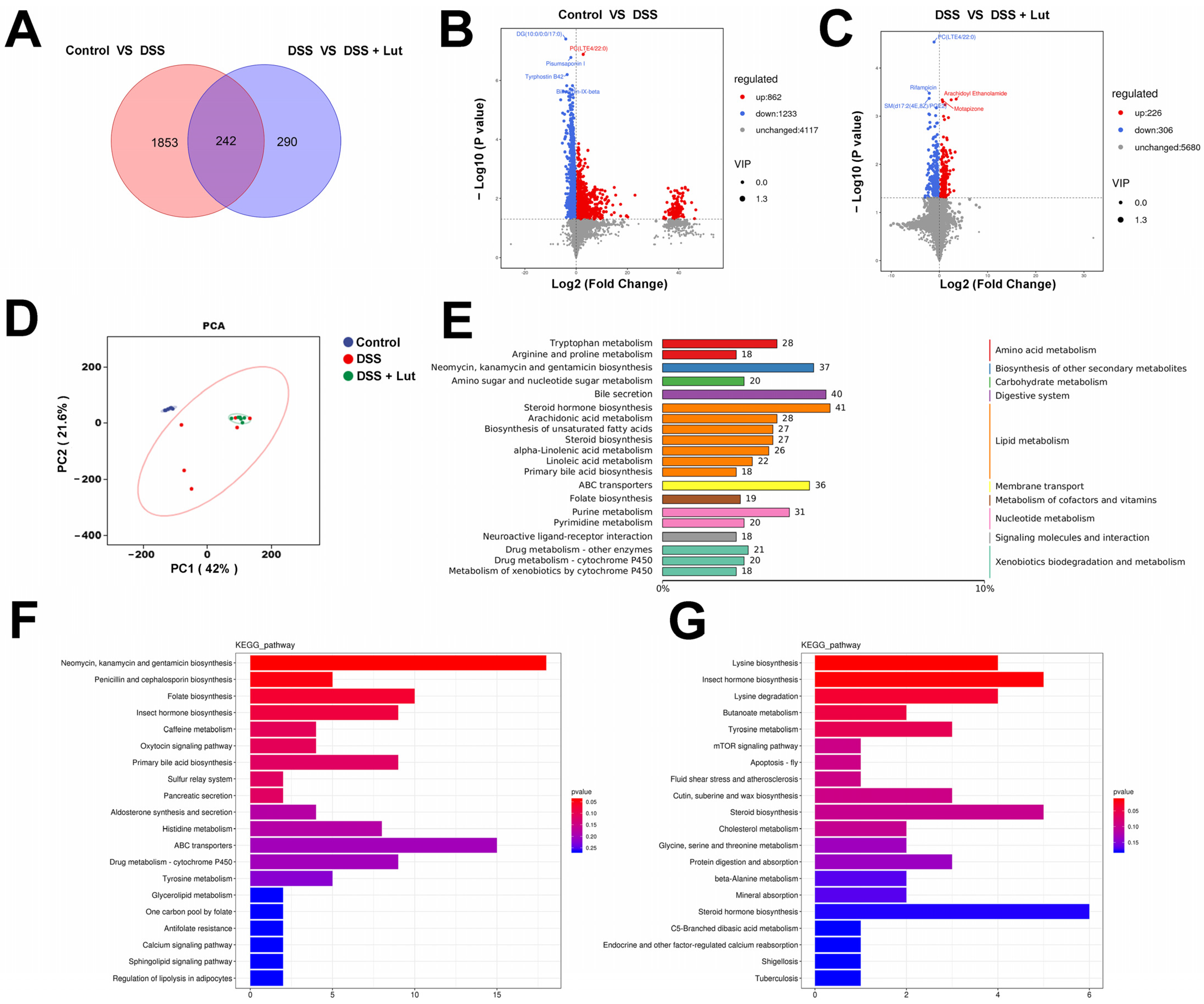 Nutrients 17 00203 g006