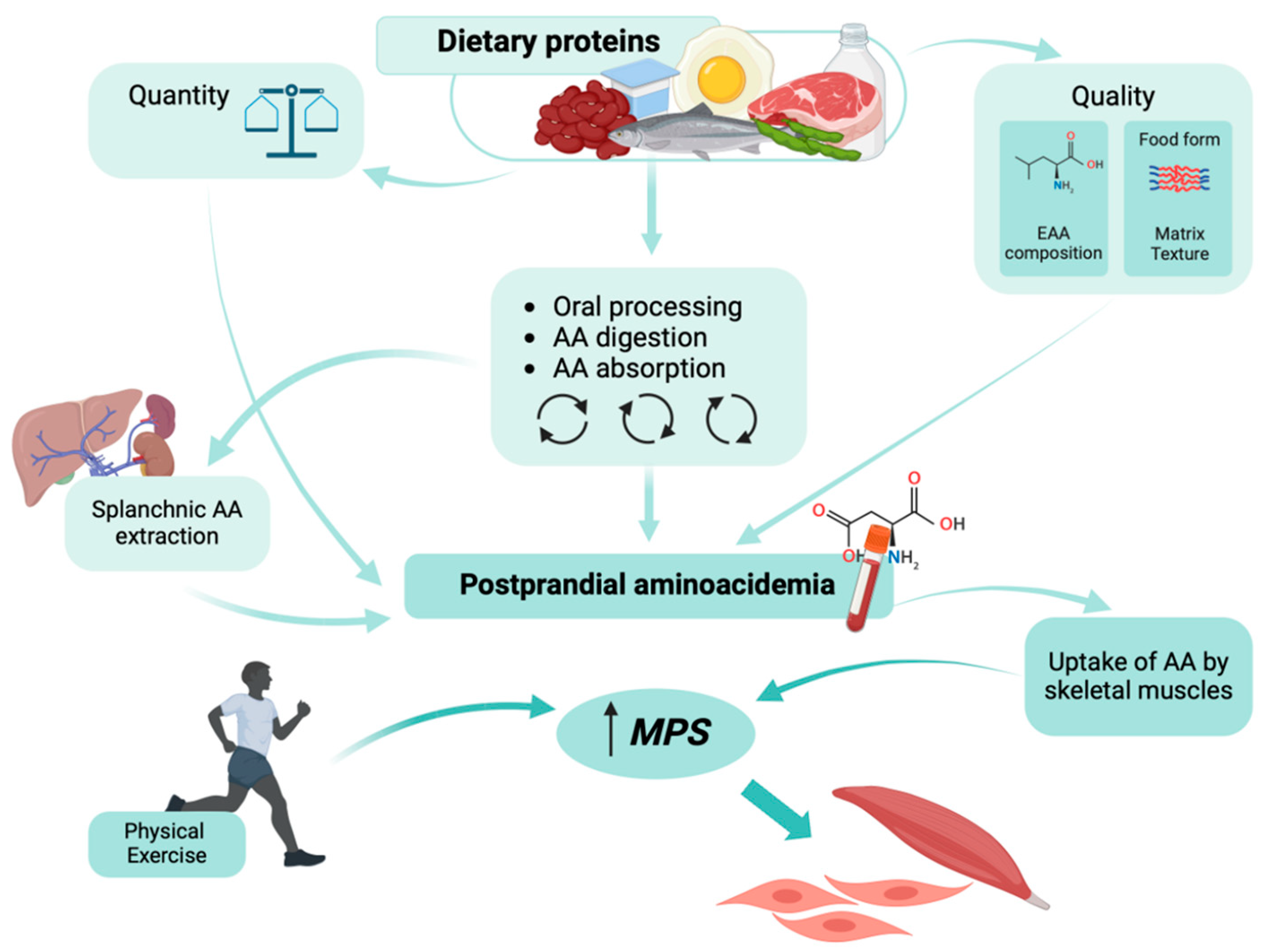 Nutrients 17 00211 g002