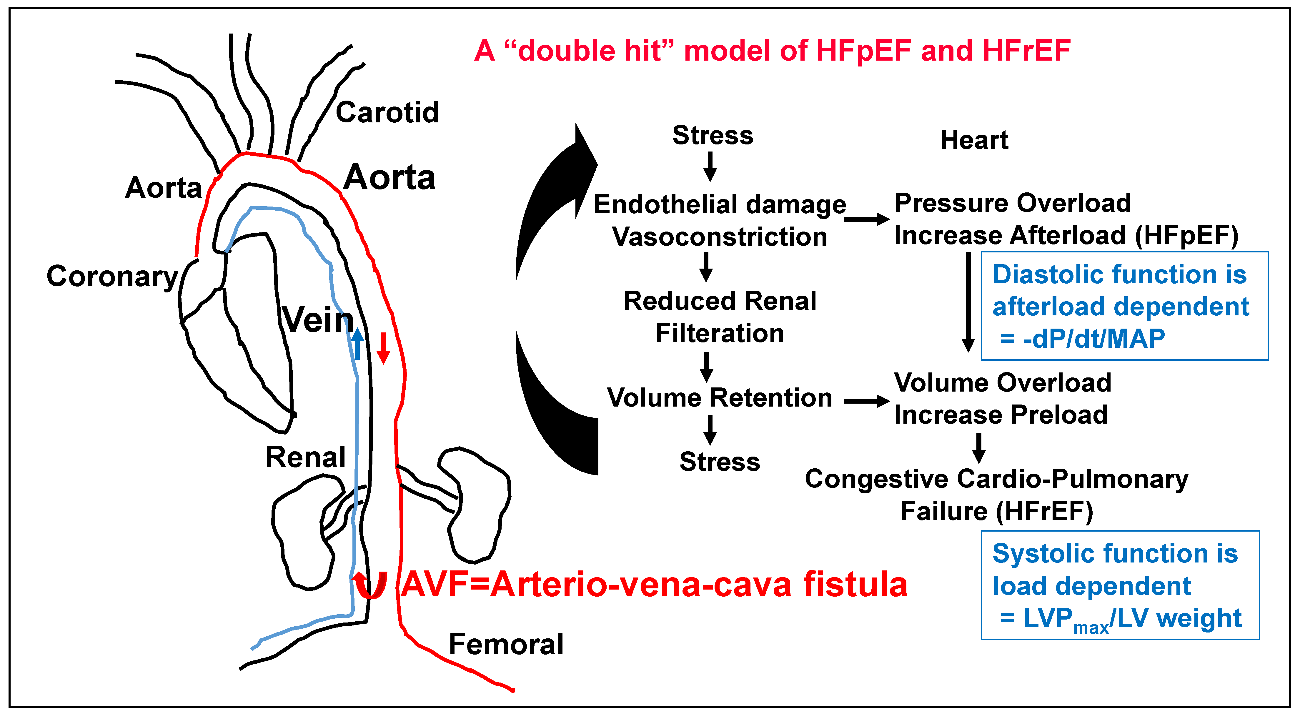 Nutrients 17 00216 g001