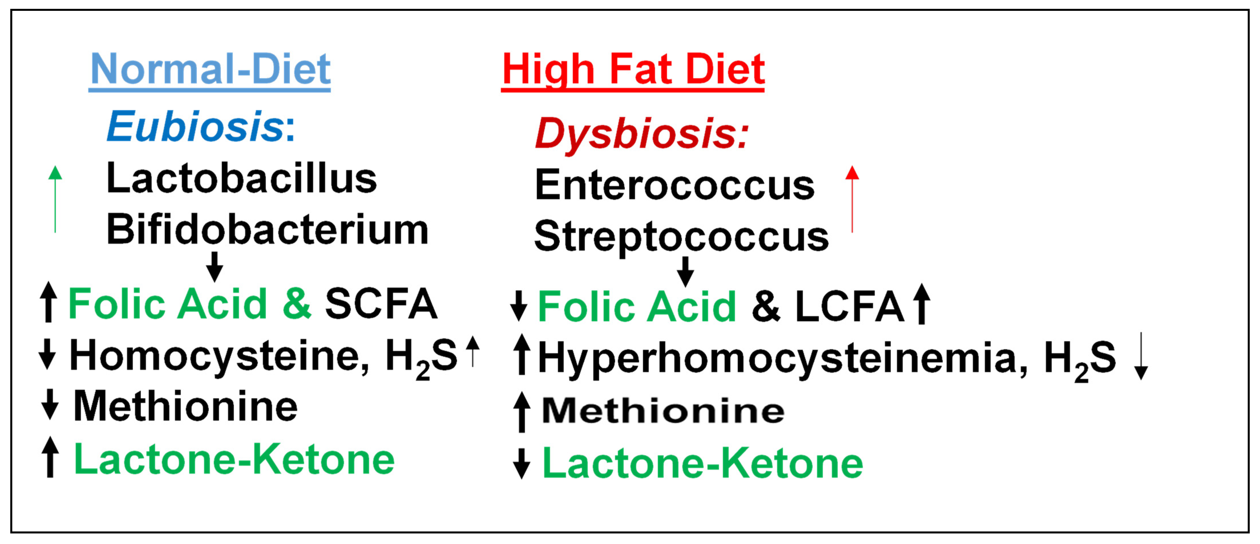 Nutrients 17 00216 g003