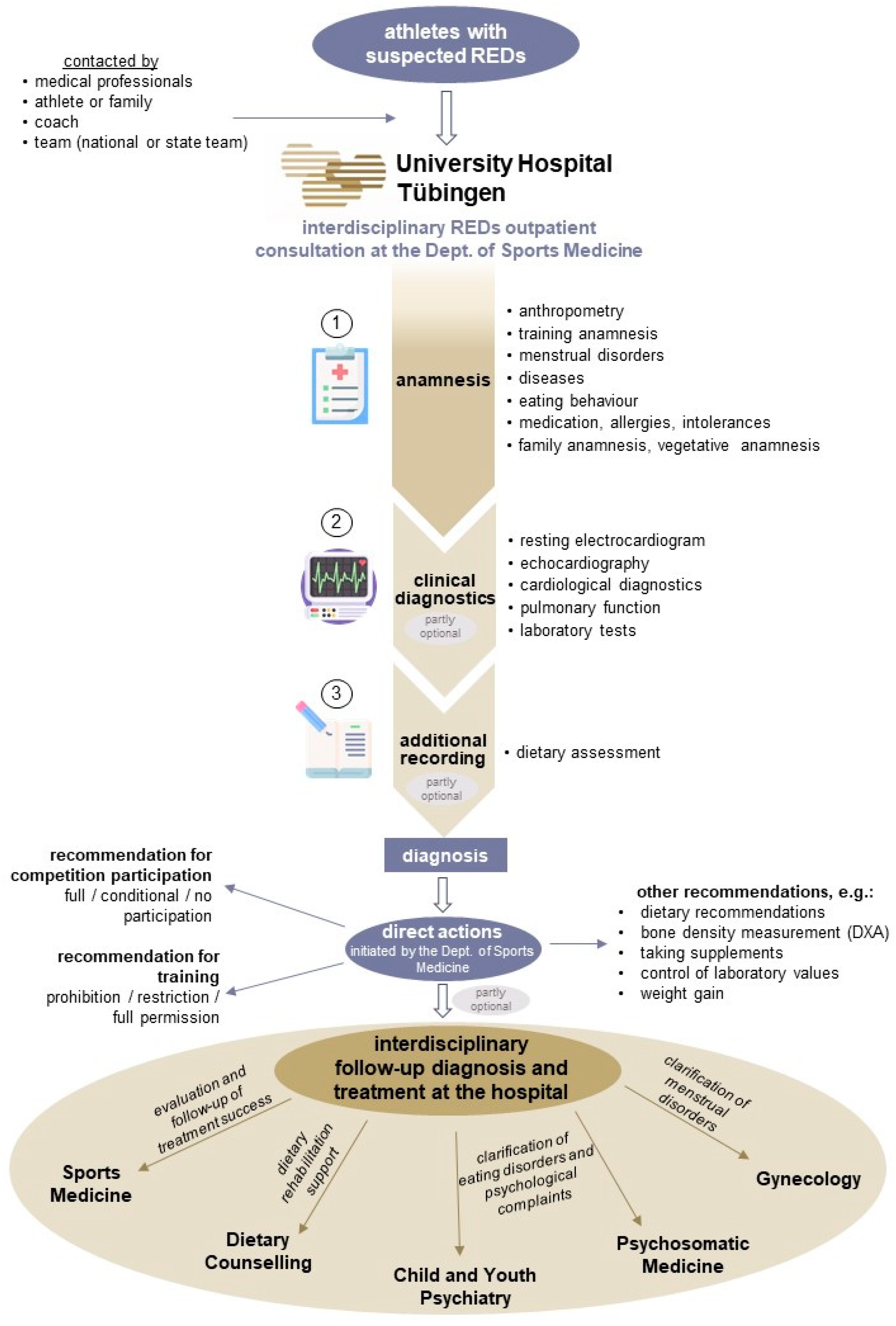 Nutrients 17 00228 g001